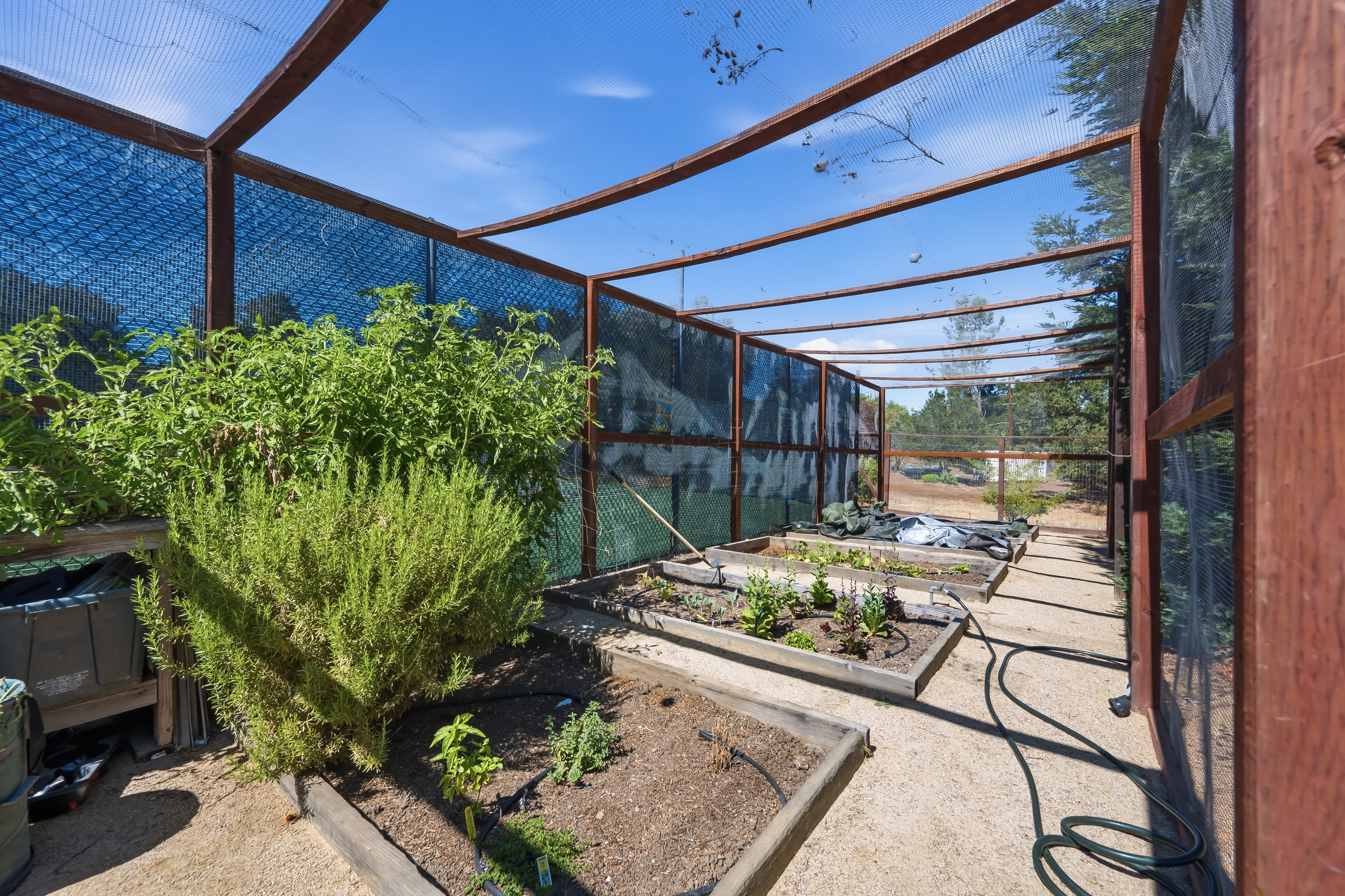  Sophisticated Indoor-Outdoor Living, Designed for Healthy Living - 物件實景