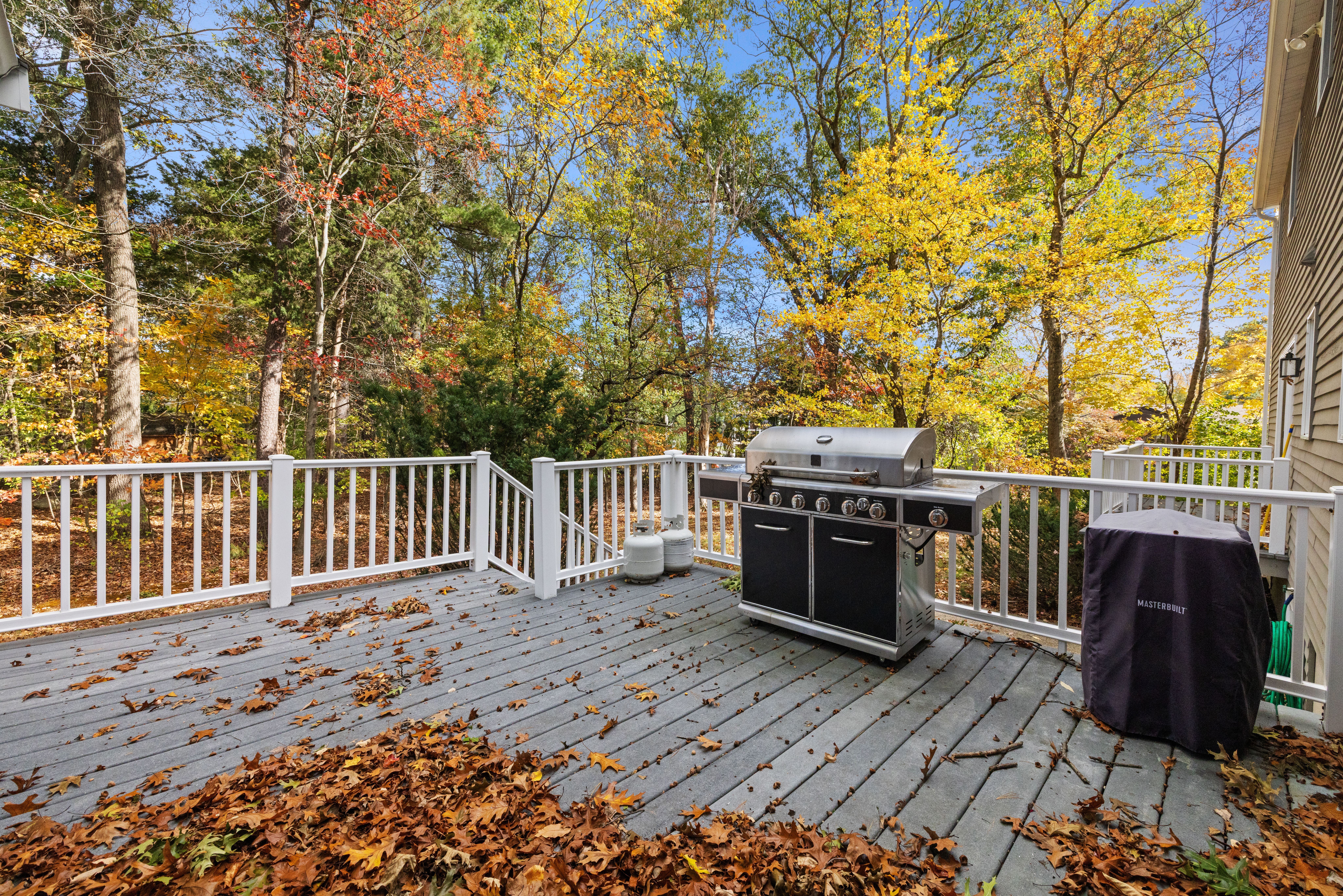  163 Standish Road, Needham, MA, 02492 - 物件實景