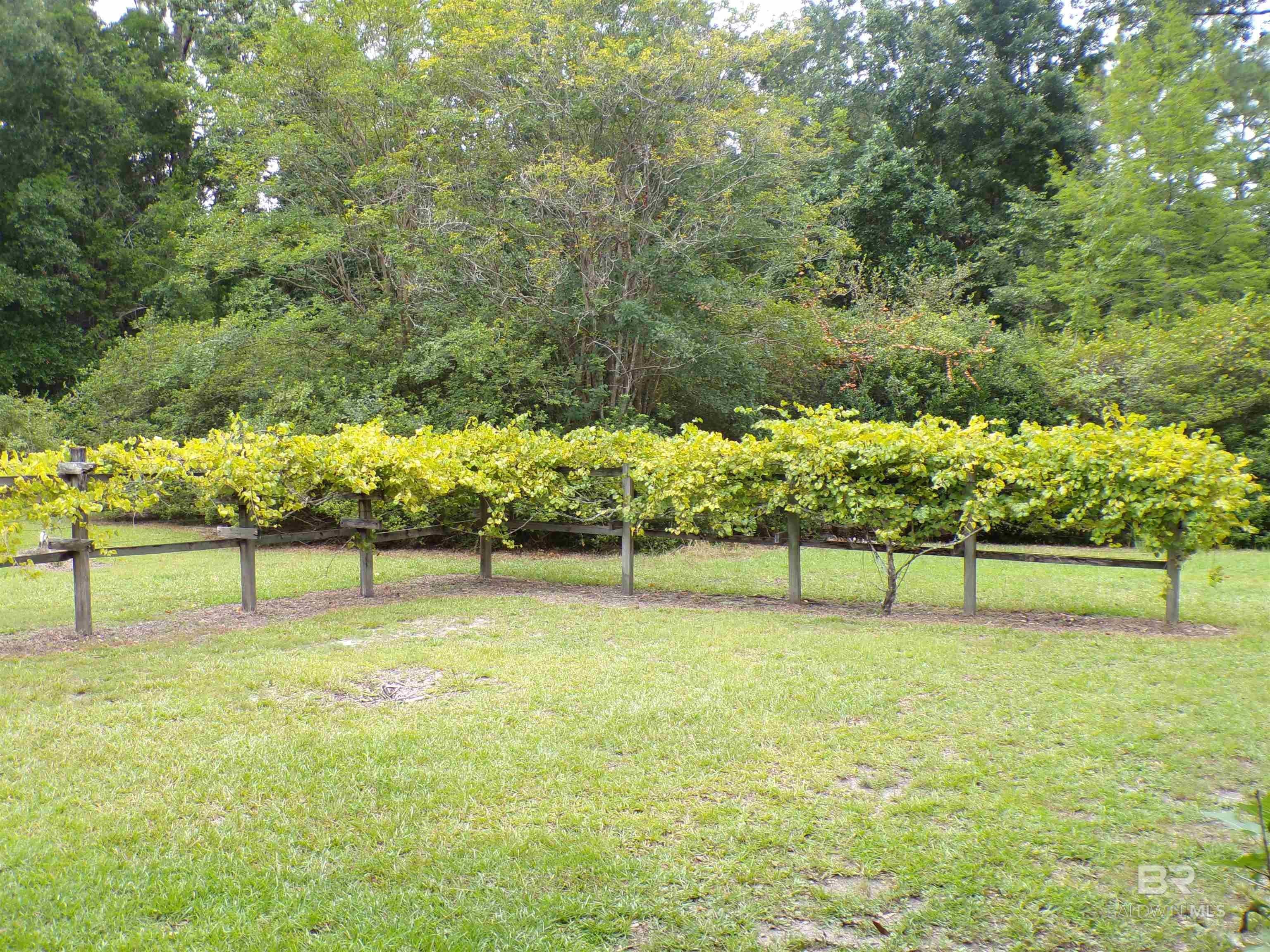 Foley, Alabama, 36535, United States, 3 Bedrooms Bedrooms, ,2 BathroomsBathrooms,Residential,For Sale,1890836