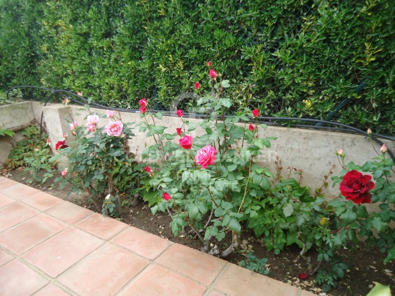 Girona, La Bisbal d'Empord?, La Bisbal d'Empord?, La Bisbal d'Empordà, Catalonia, ES, 4 Bedrooms Bedrooms, ,1 BathroomBathrooms,Residential,For Sale,Girona, La Bisbal d'Empord?, La Bisbal d'Empord?,1448680