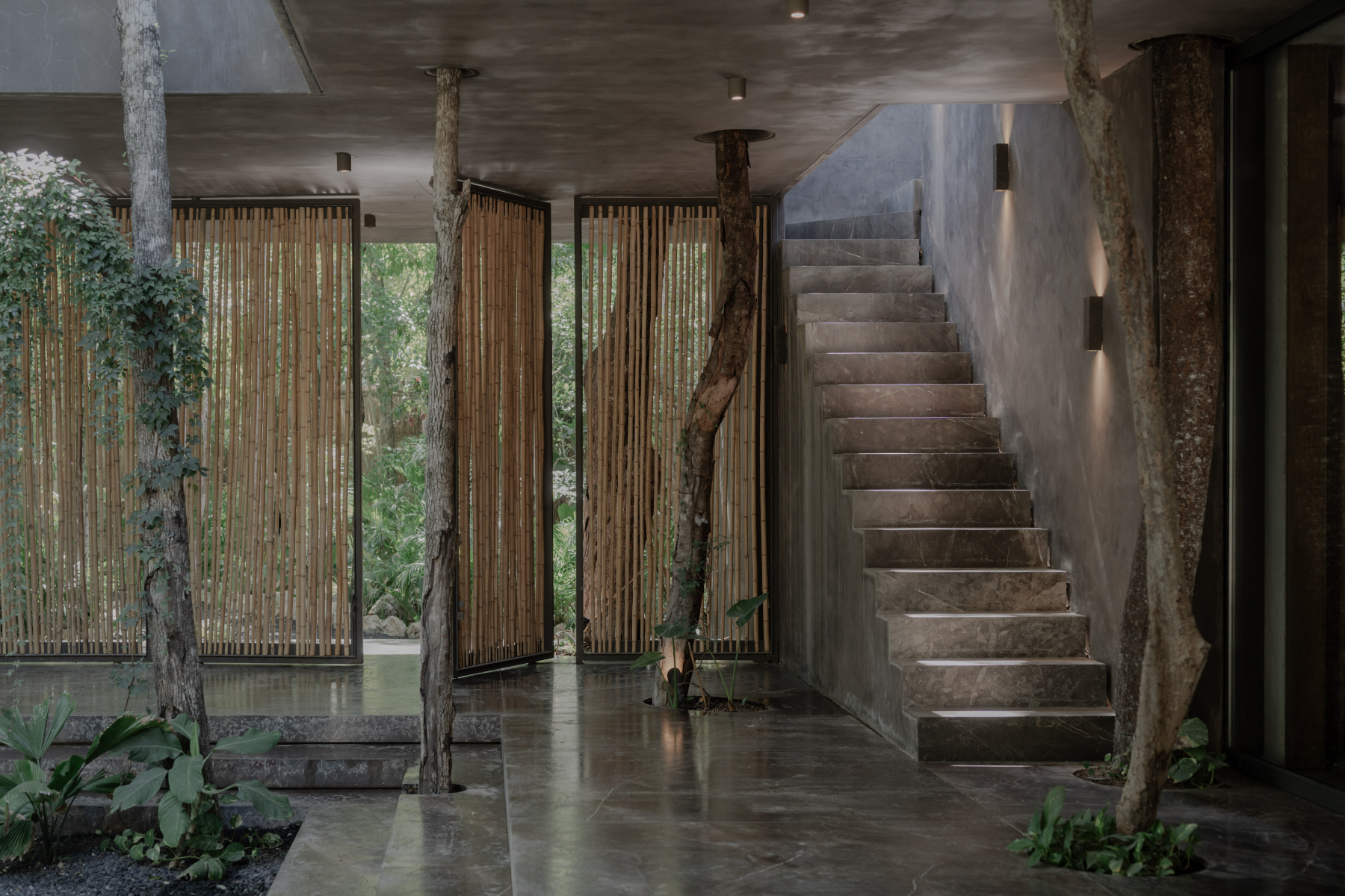  ECO JUNGLE SUSTAINABLE CONDOS - 物件實景