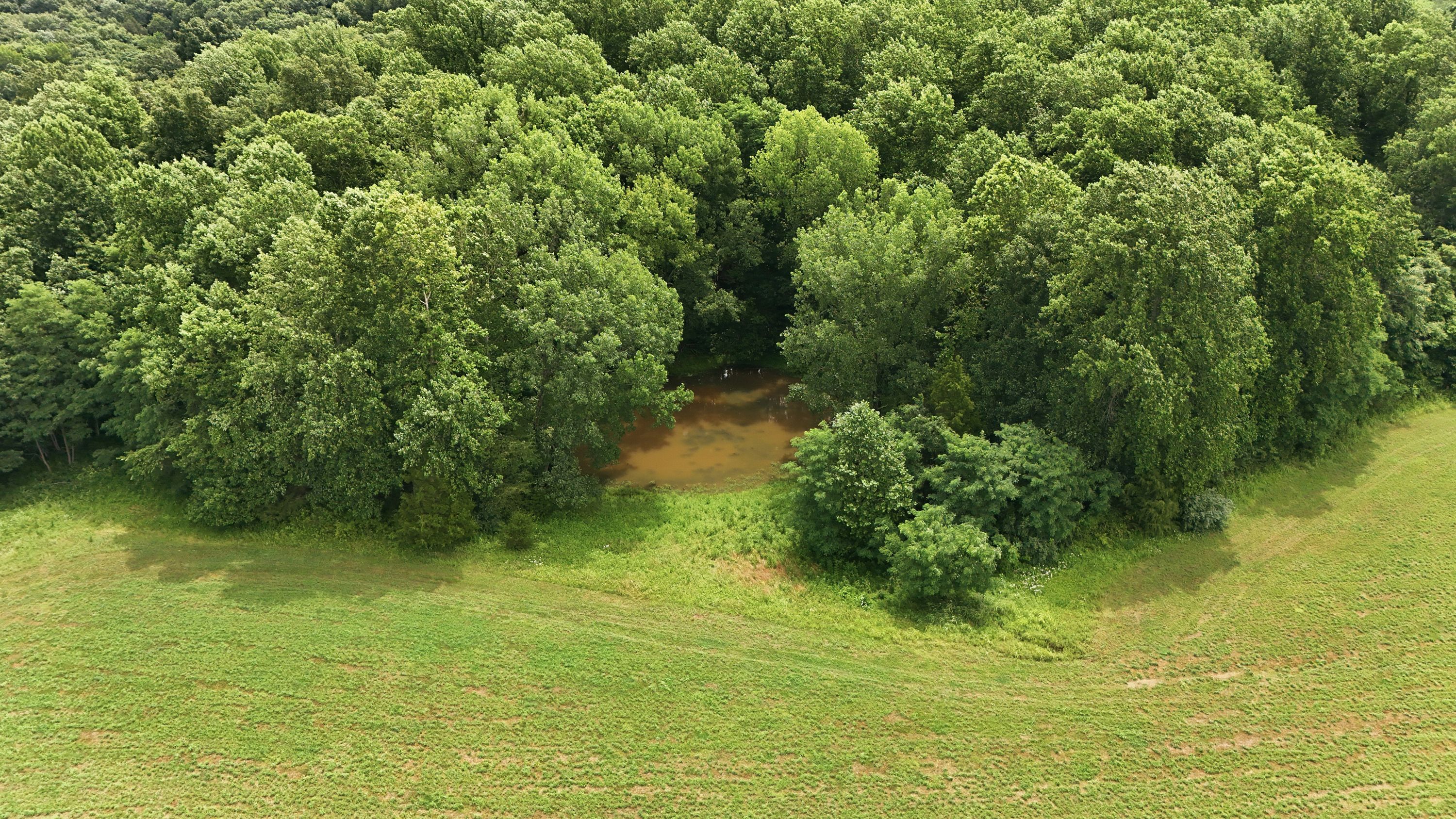  3850 Smith Lane, La Grange, KY 40031 - 物件實景