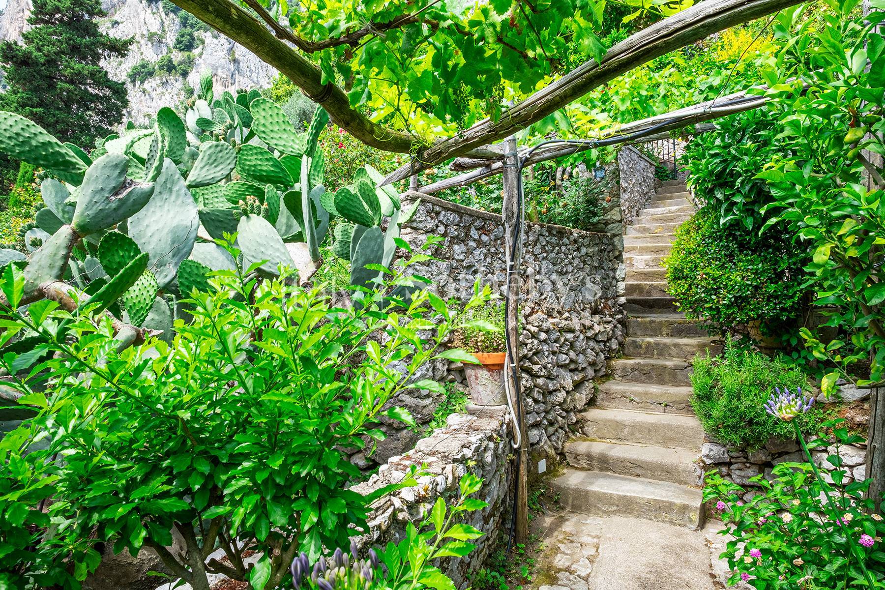  Charming villa in Capri - 物件實景