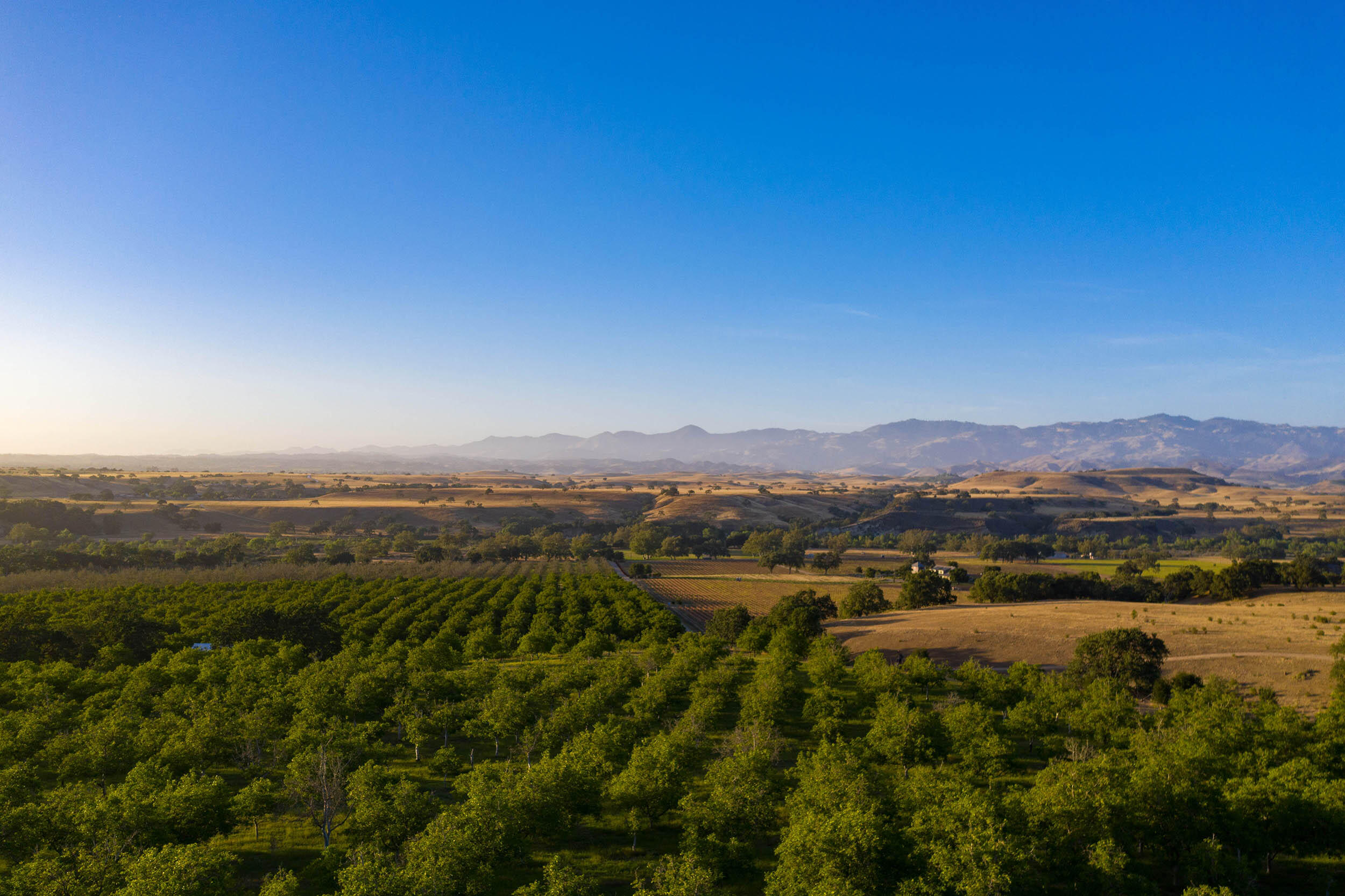 Santa Ynez, California, 93460, United States, 3 Bedrooms Bedrooms, ,6 BathroomsBathrooms,Residential,For Sale,1709883