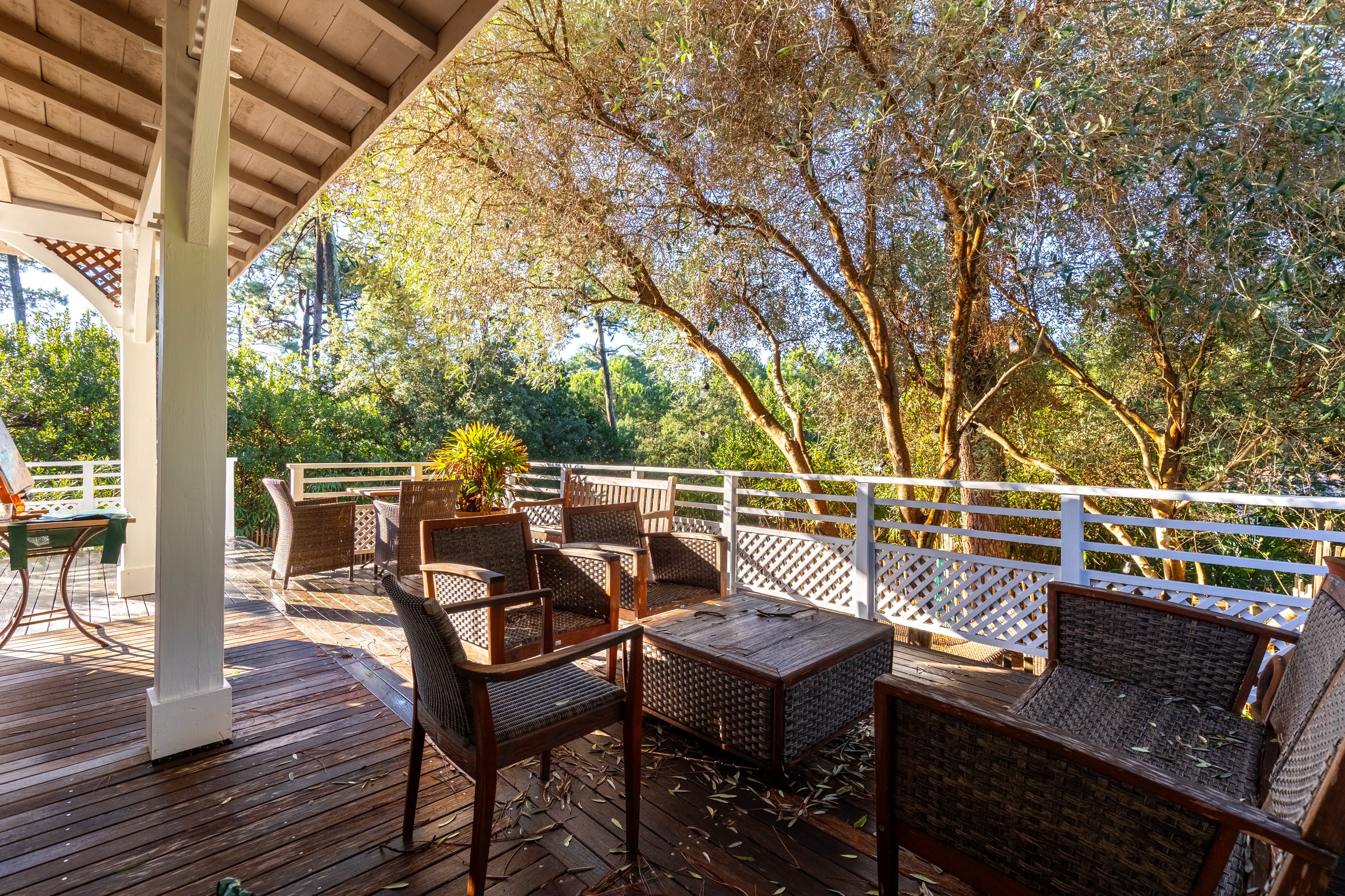  THE VALLONS DU CAP FERRET - CHARMING WOODEN VILLA WITH SWIMMING POOL - 物件實景