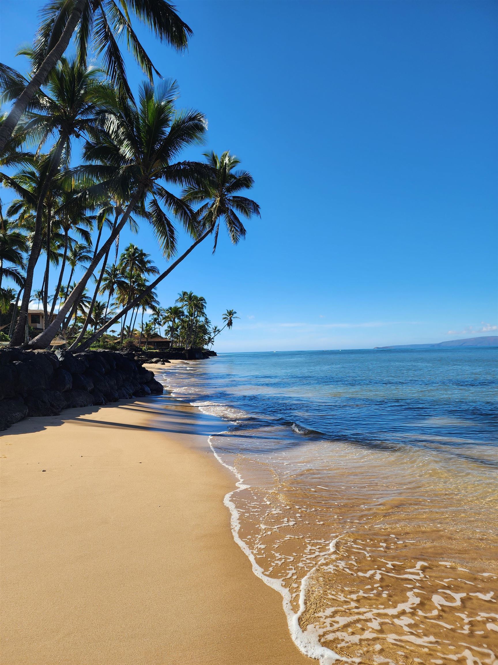 Kihei, Hawaii, 96753, United States, 1 Bedroom Bedrooms, ,1 BathroomBathrooms,Residential,For Sale,1994742