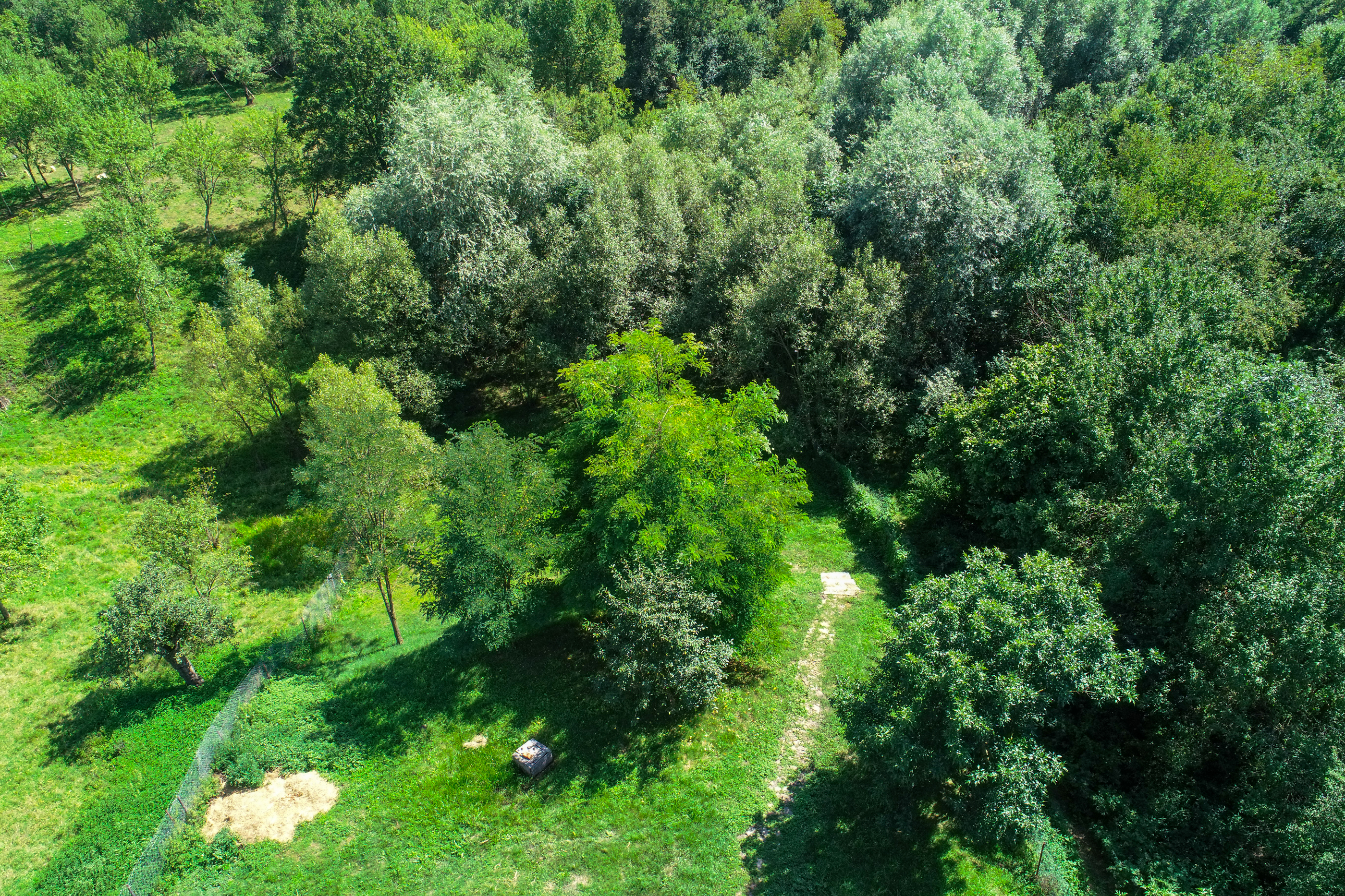  Restored Authentic Saxon House in Viscri, Between Heritage and Nature - 物件實景
