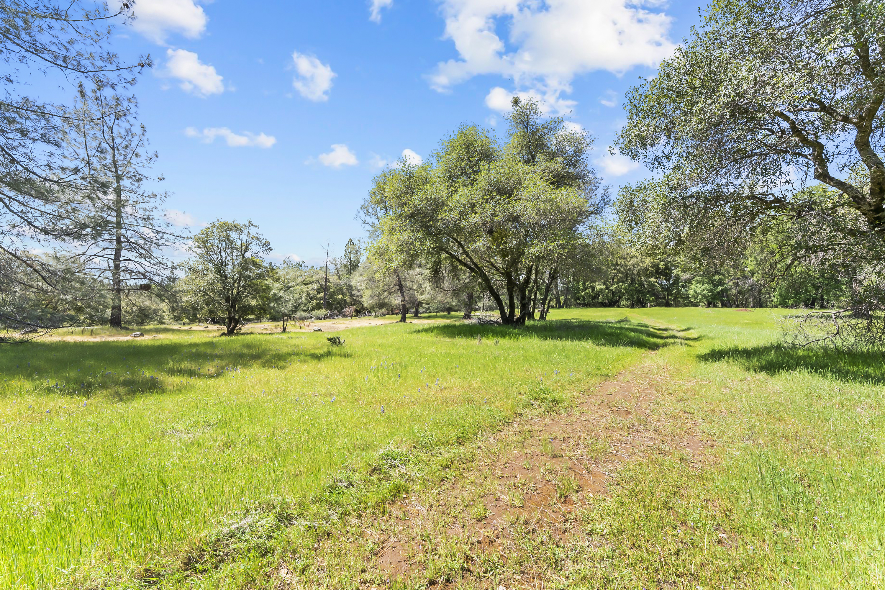  21 Acres - Gated - Renovated - 物件實景