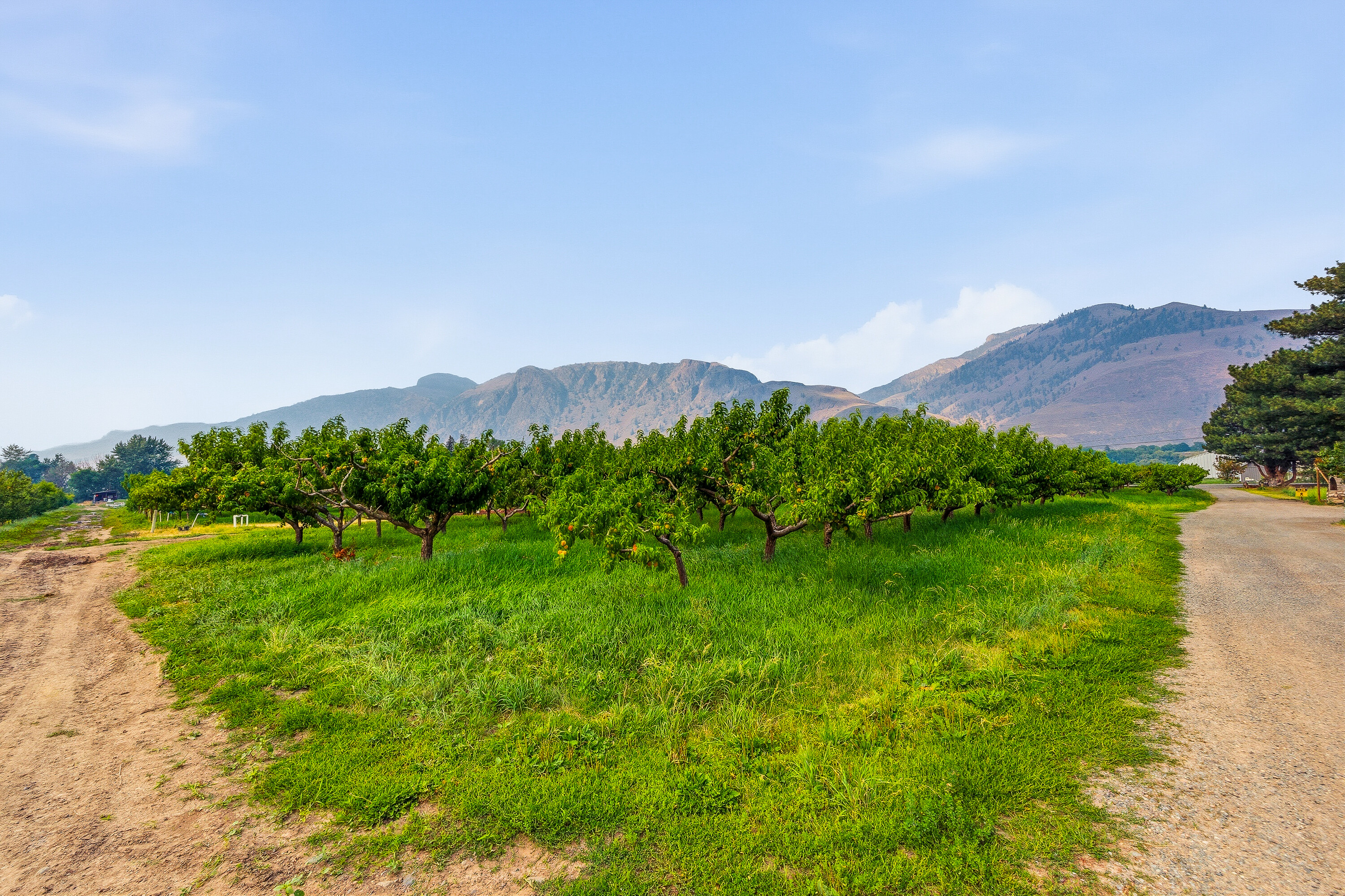  Home on an Organic Farm - 物件實景