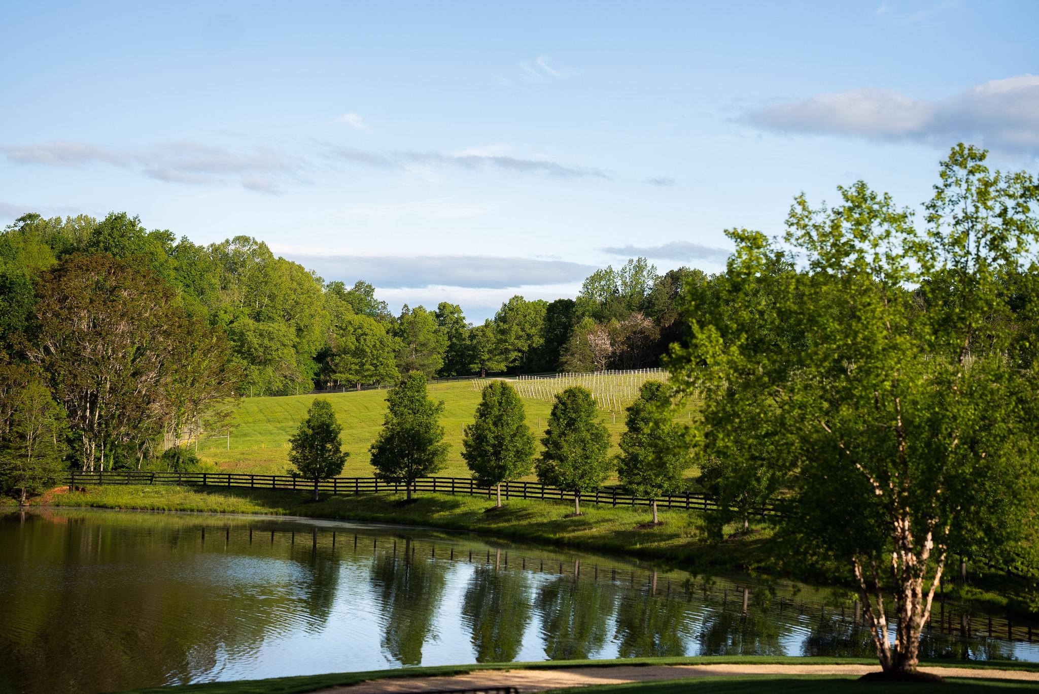  6887 Blenheim Road, Scottsville, VA, 24590 - 物件實景