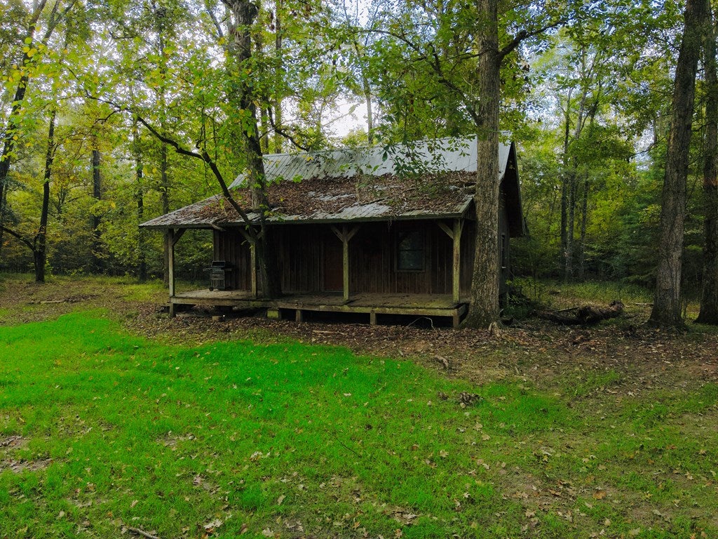 Abbeville, Georgia, 31001, United States, ,Land,For Sale,1975130