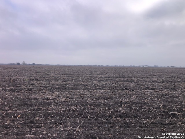 Seguin, Texas, 78155, United States, ,Land,For Sale,1981950