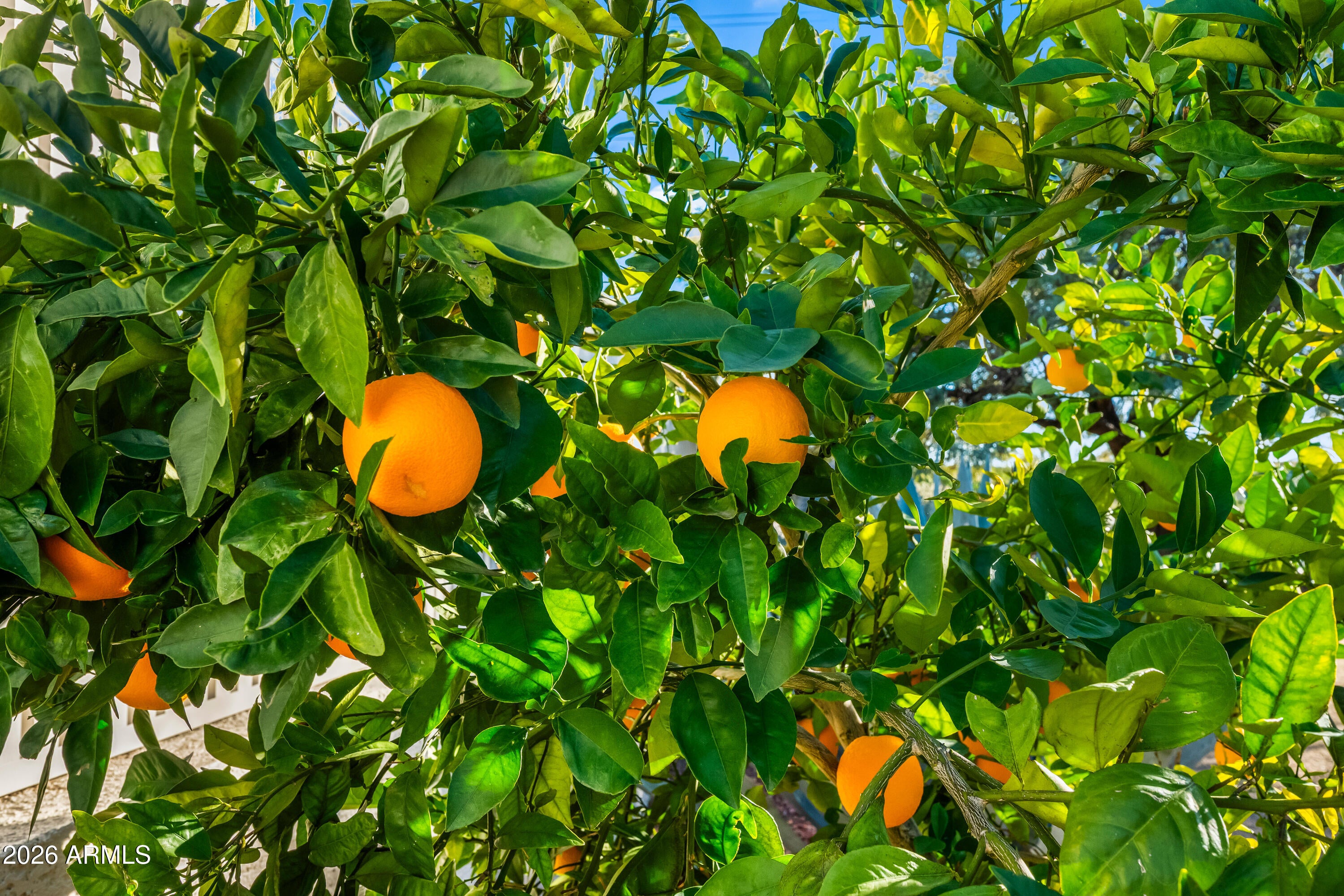 Wickenburg, Arizona, 85390, United States, 3 Bedrooms Bedrooms, ,2 BathroomsBathrooms,Residential,For Sale,2012620