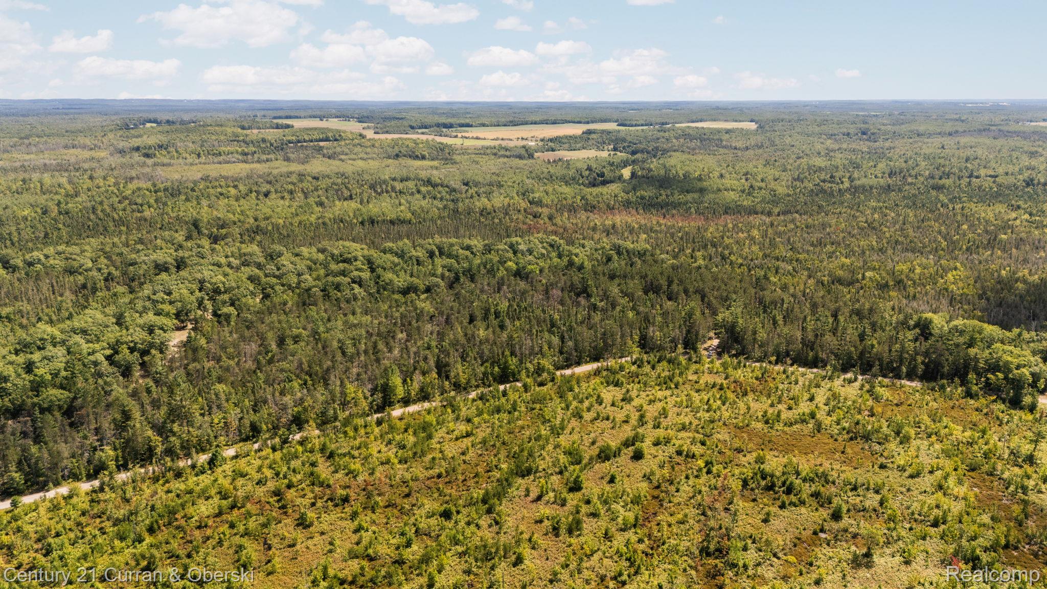 Onaway, Michigan, 49765, United States, 4 Bedrooms Bedrooms, ,2 BathroomsBathrooms,Residential,For Sale,1980098