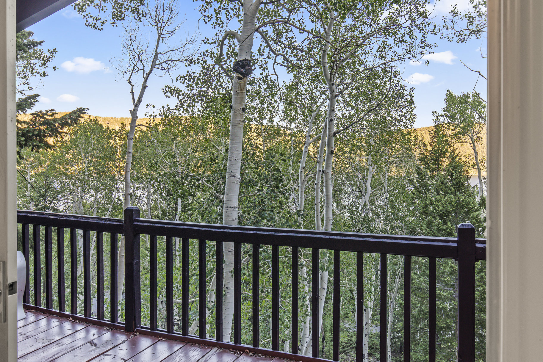  Fish Lake Two-Story Cabin with Views - 物件實景