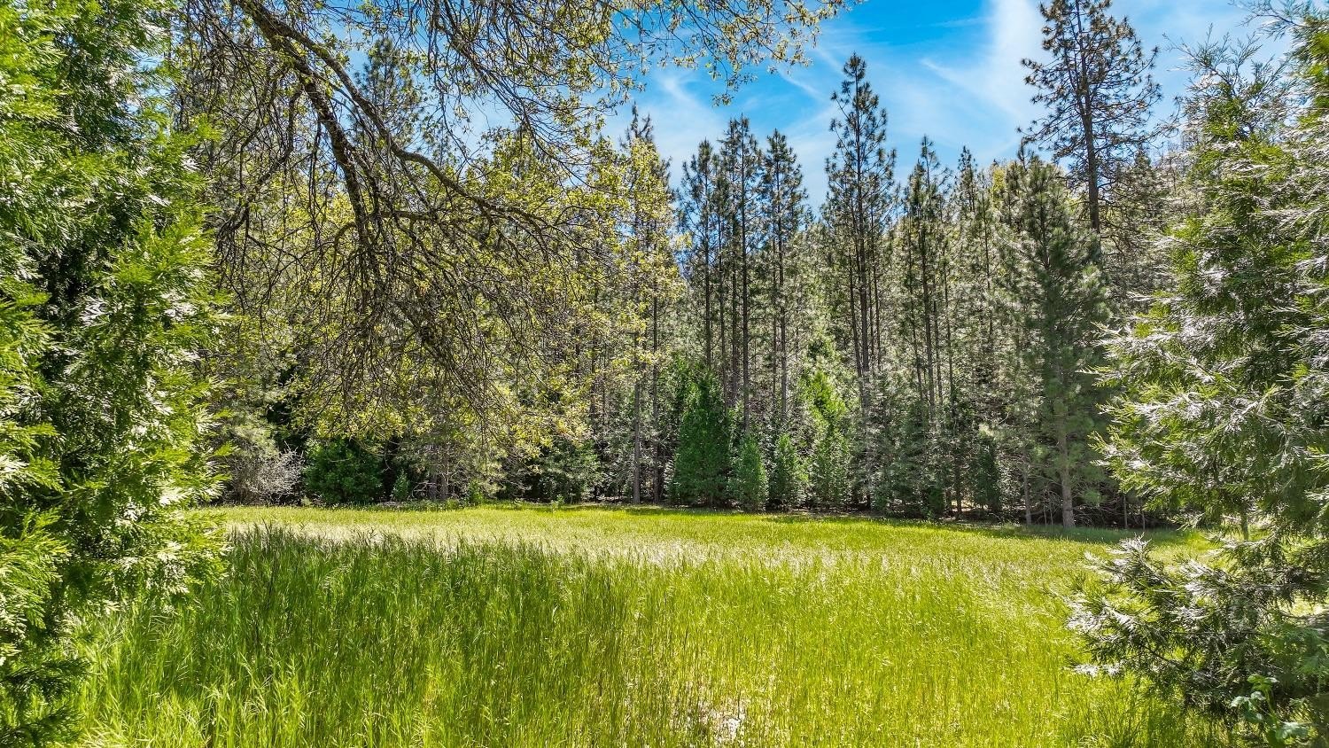 Mountain Ranch, California, 95246, United States, 1 Bedroom Bedrooms, ,1 BathroomBathrooms,Residential,For Sale,1921601