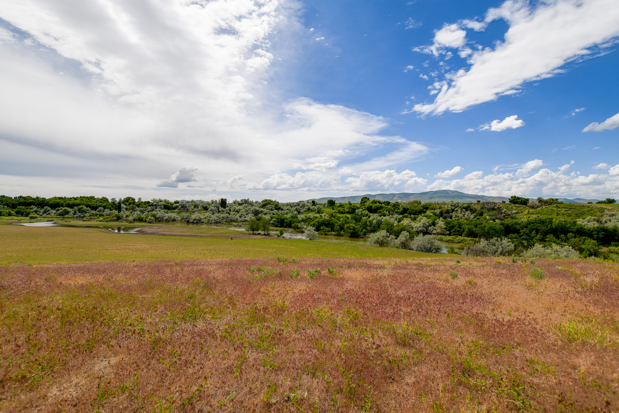 Deweyville, Utah, 84309, United States, ,Land,For Sale,1848401