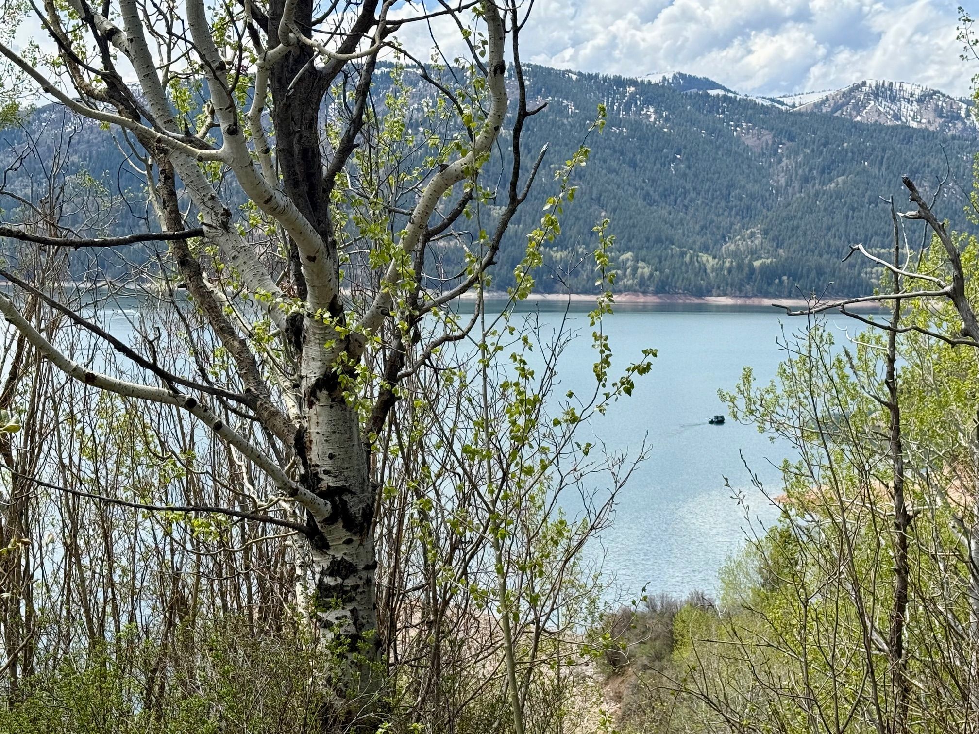  Property Overlooking the Palisades Reservoir - 物件實景