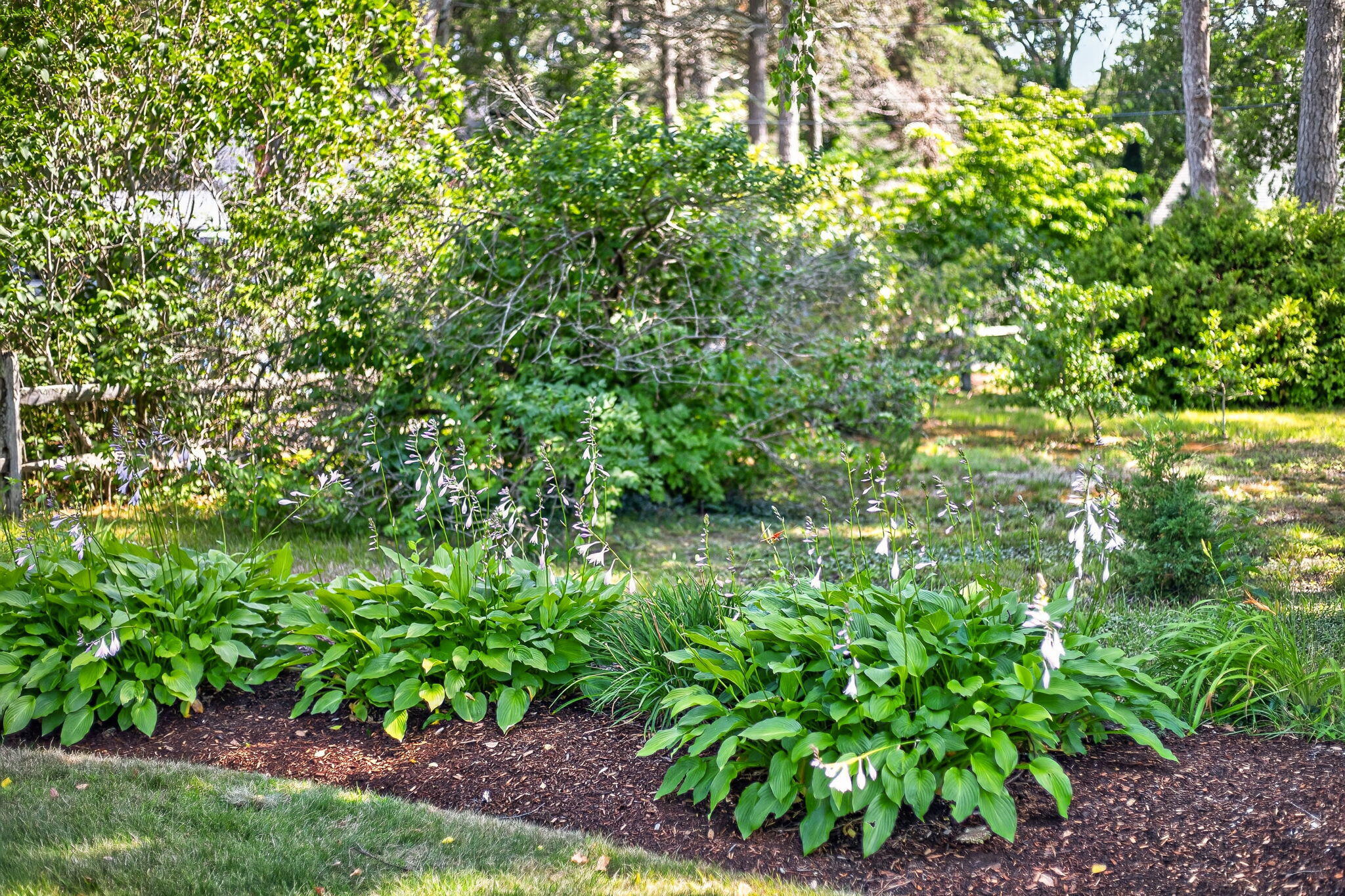  30 Fairway Road, South Yarmouth, MA, 02664 - 物件實景