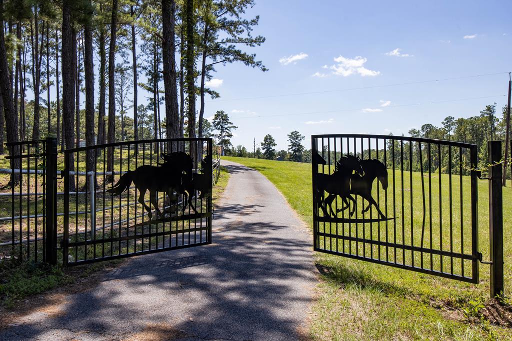 Junction City, Georgia, 31812, United States, 6 Bedrooms Bedrooms, ,5 BathroomsBathrooms,Residential,For Sale,1939165