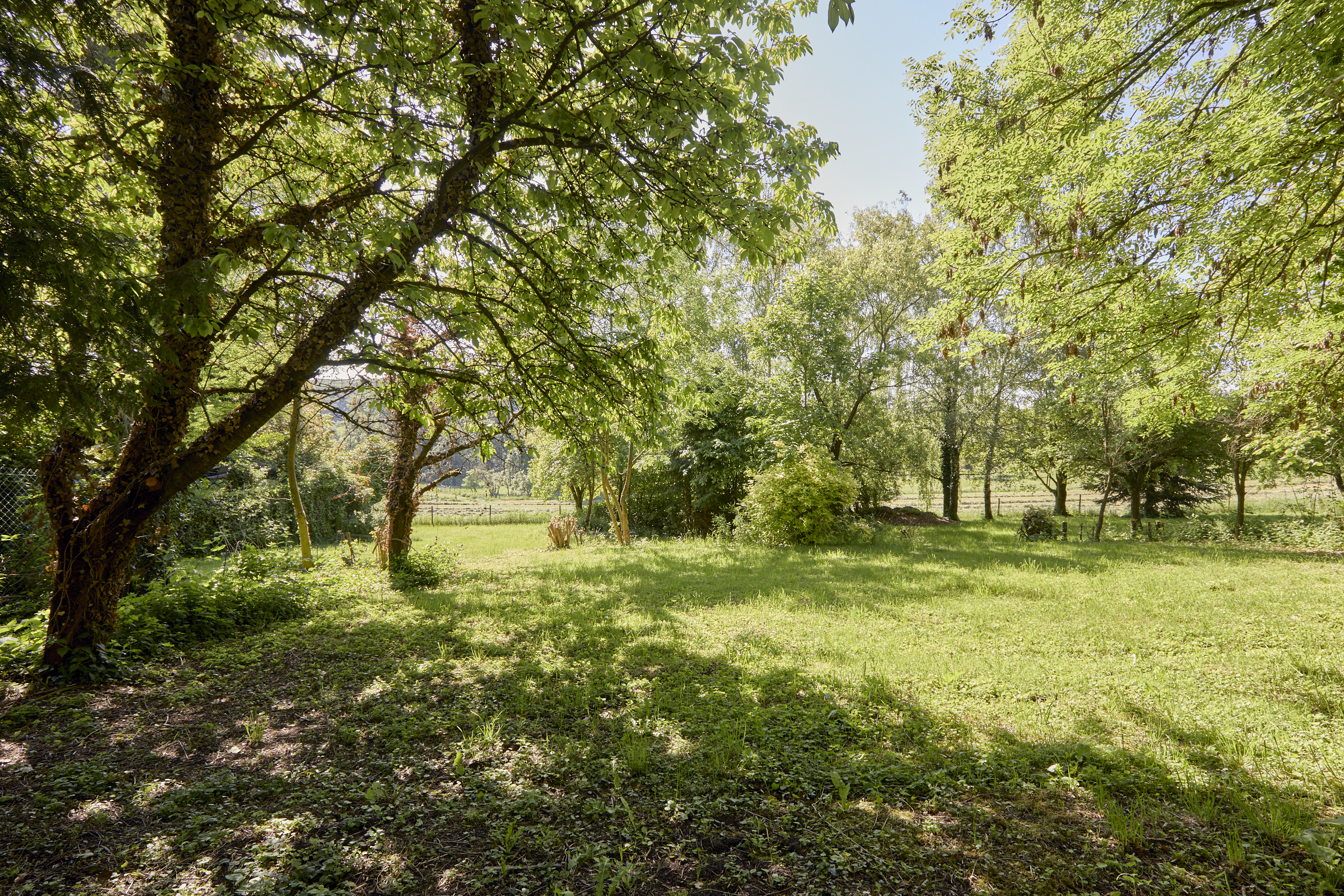  Domaine privé à Manternach - 物件實景