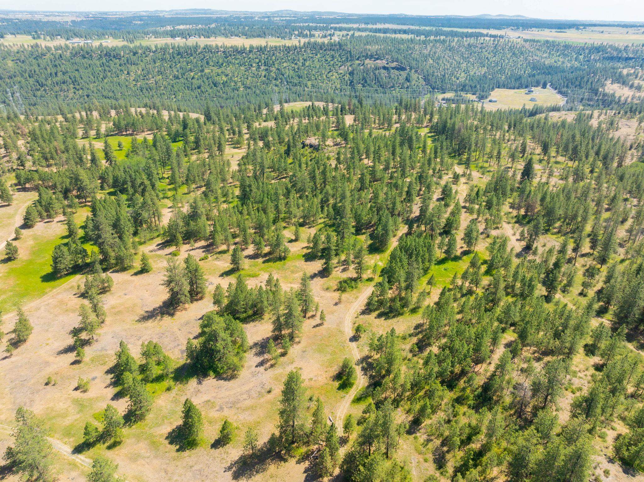 Nine Mile Falls, Washington, 99026, United States, ,Land,For Sale,1960887