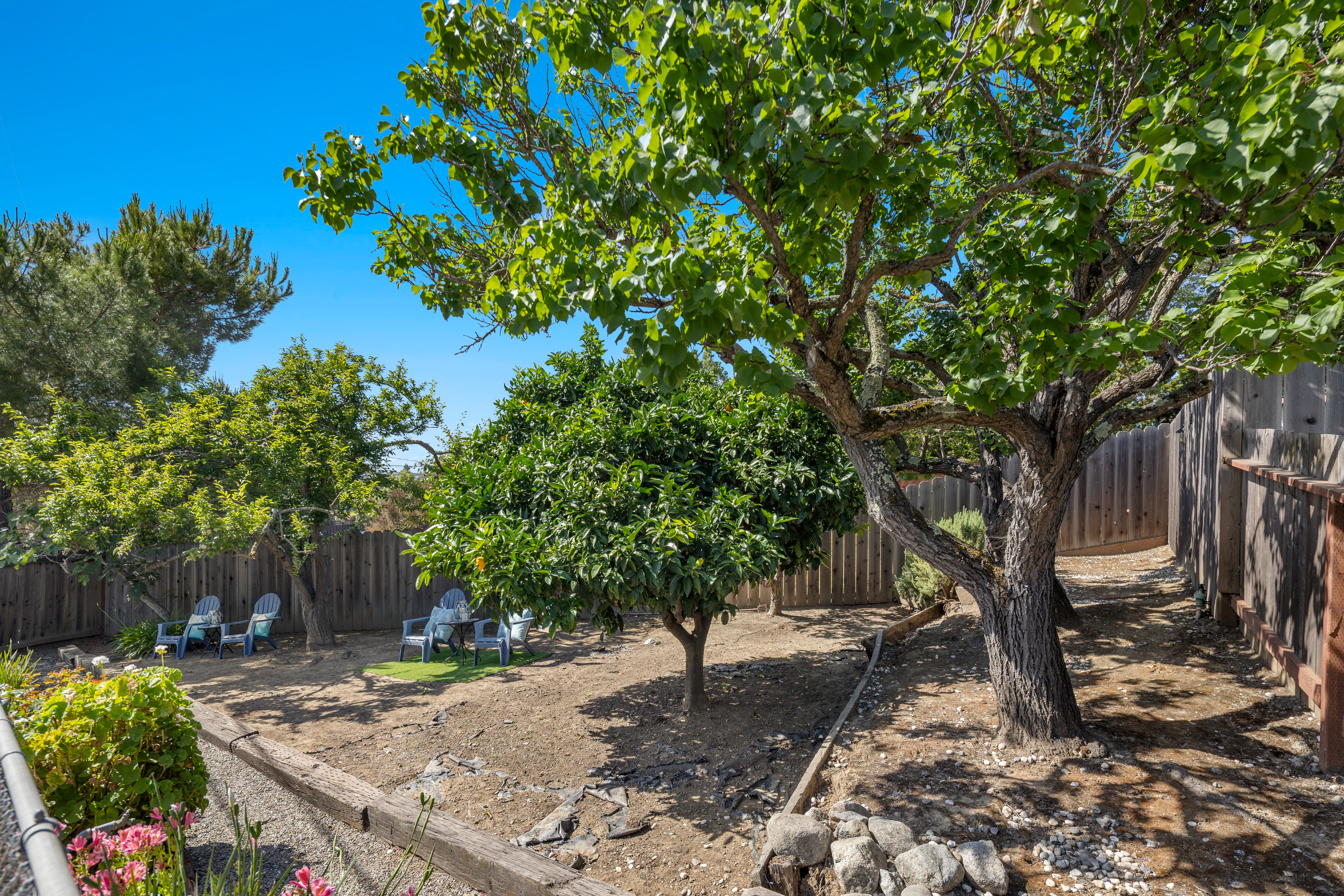  Redwood City Retreat with Exceptional Outdoor Living - 物件實景