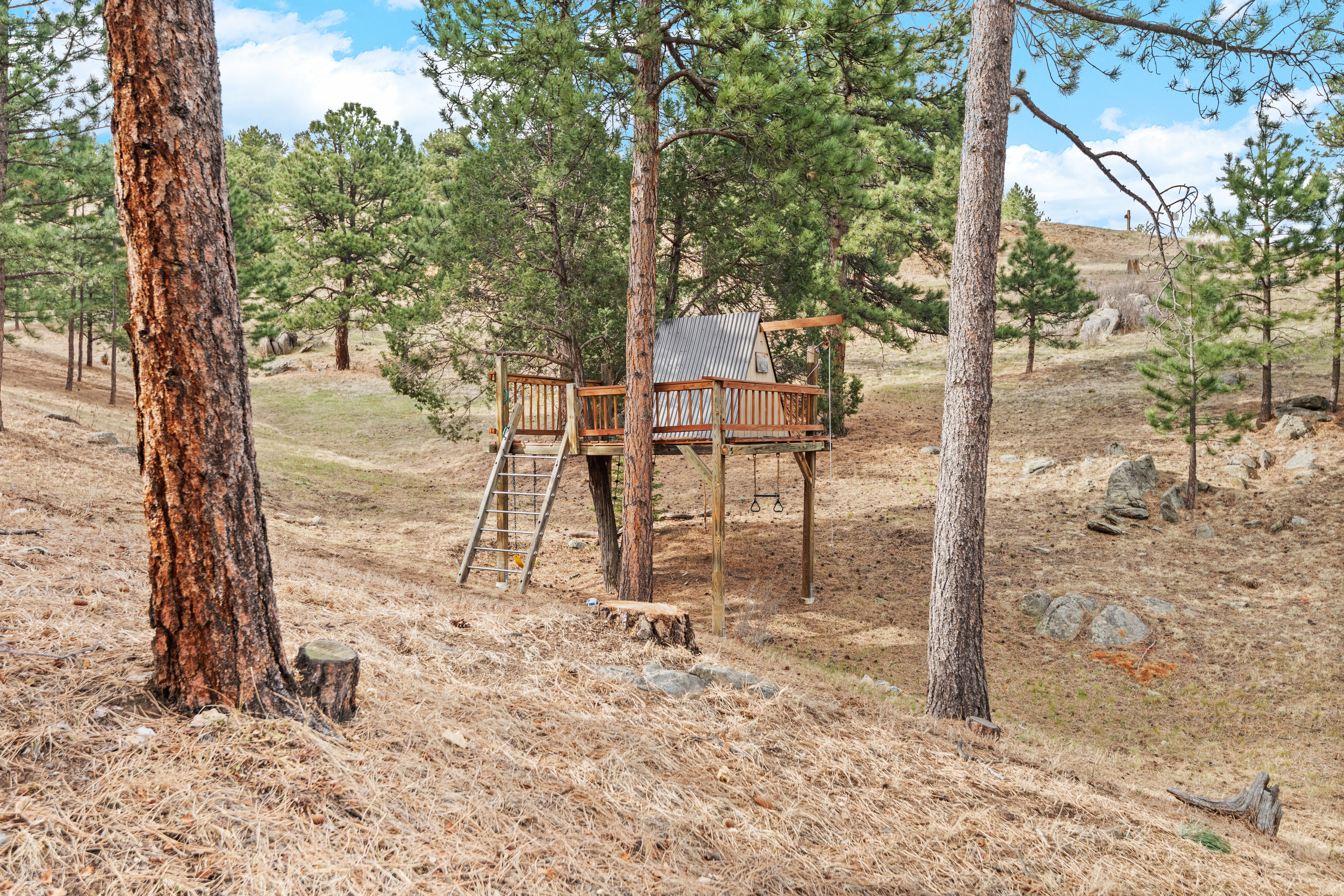  Exceptional Mountain Estate - 物件實景