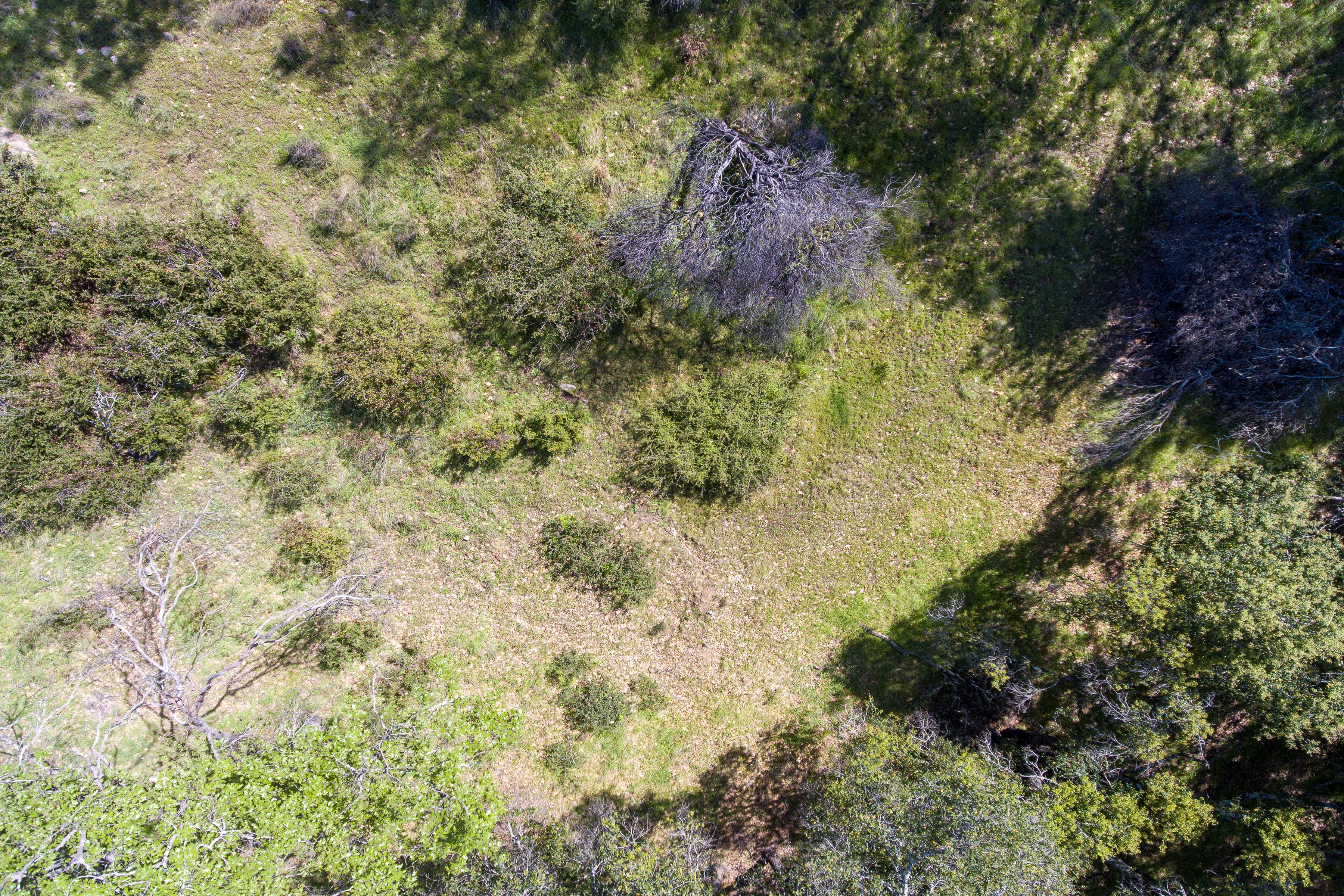  7935 St Helena Road - 物件實景