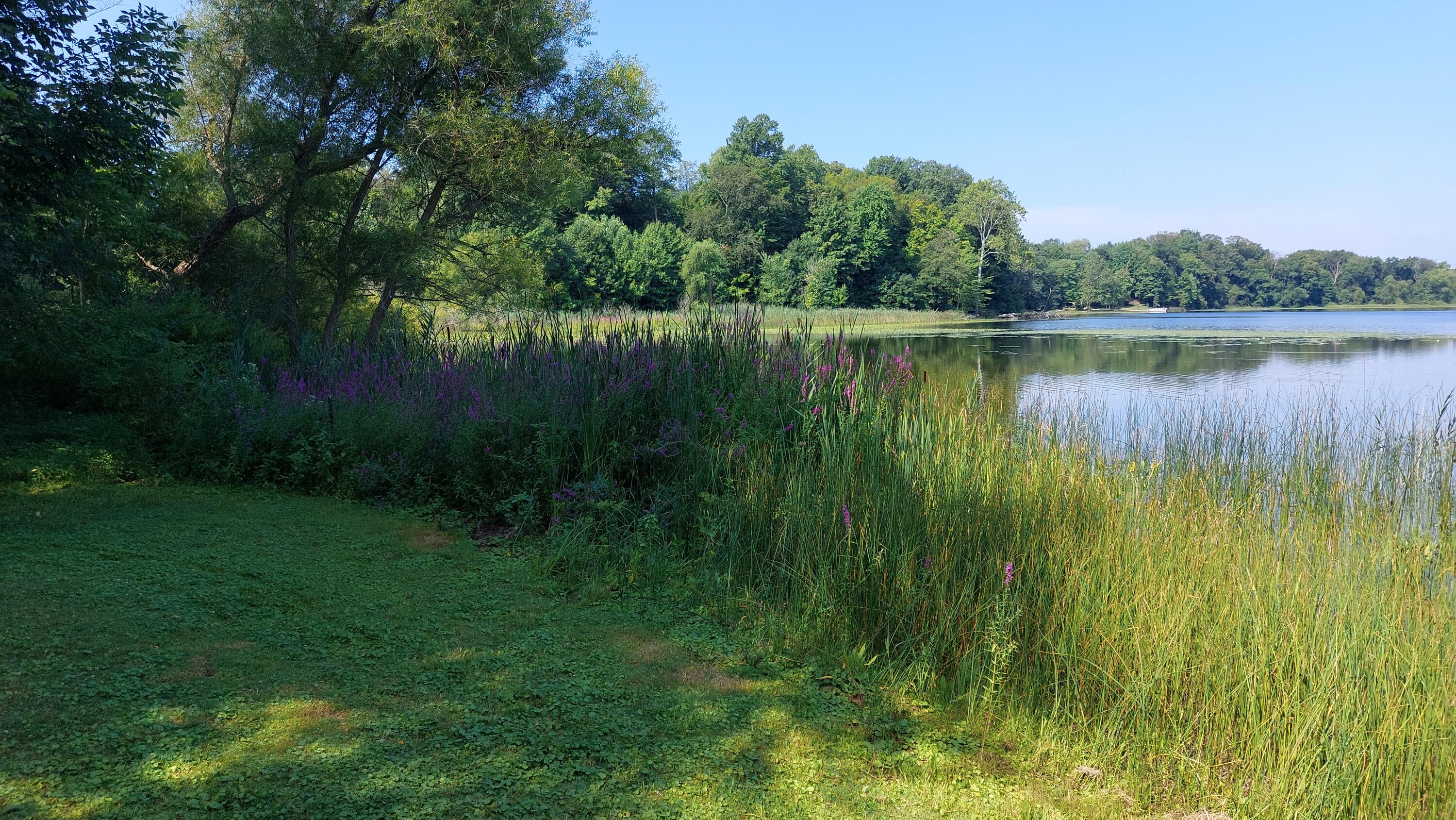 Dowagiac, Michigan, 49047, United States, 3 Bedrooms Bedrooms, ,2 BathroomsBathrooms,Residential,For Sale,1909140