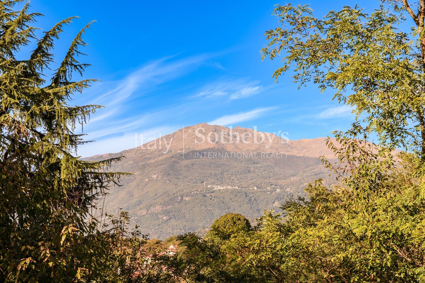  Modern villa surrounded by nature - 物件實景