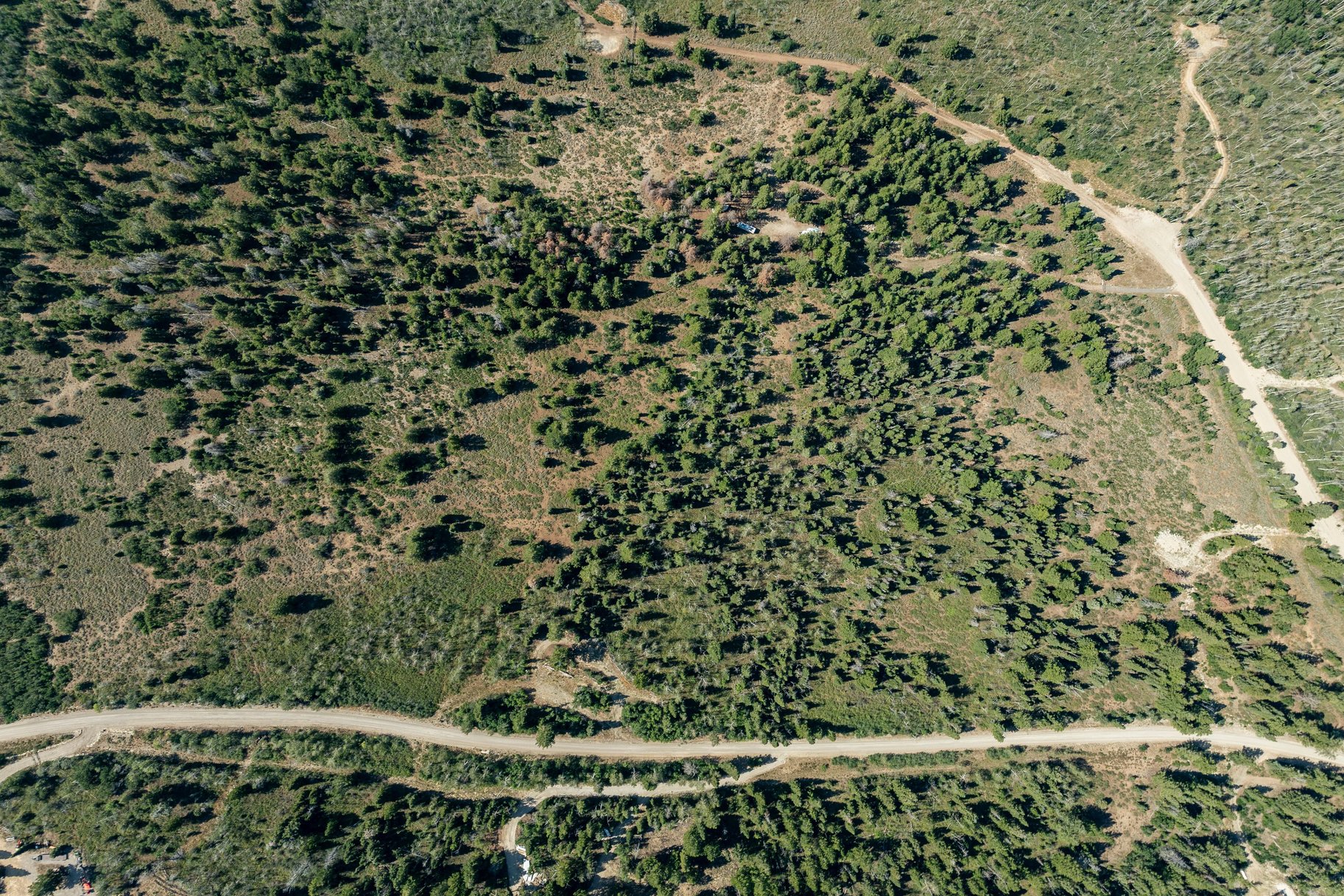  7 Acres of Paradise - 物件實景