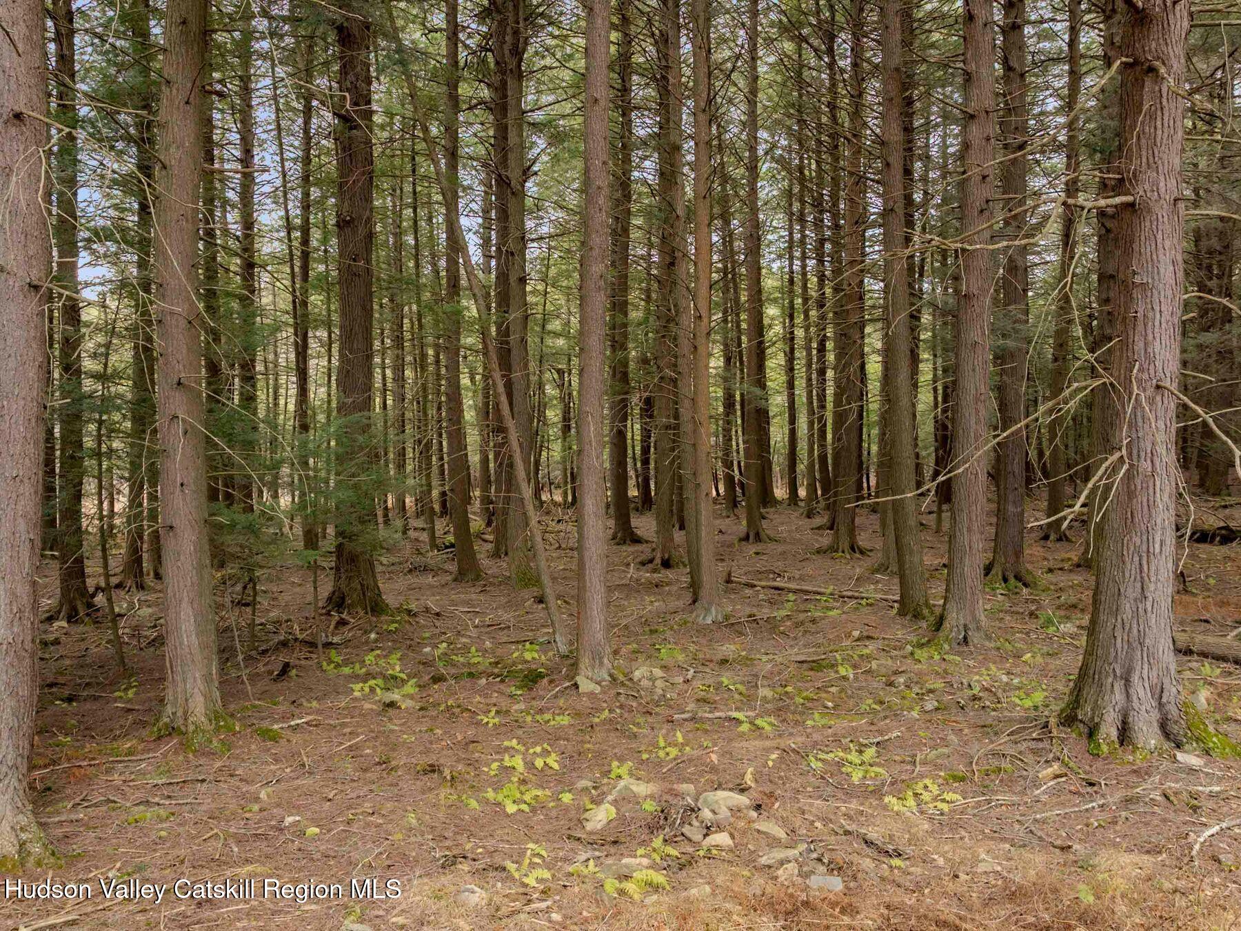 Windham, New York, 12496, United States, 3 Bedrooms Bedrooms, ,3 BathroomsBathrooms,Residential,For Sale,2003340