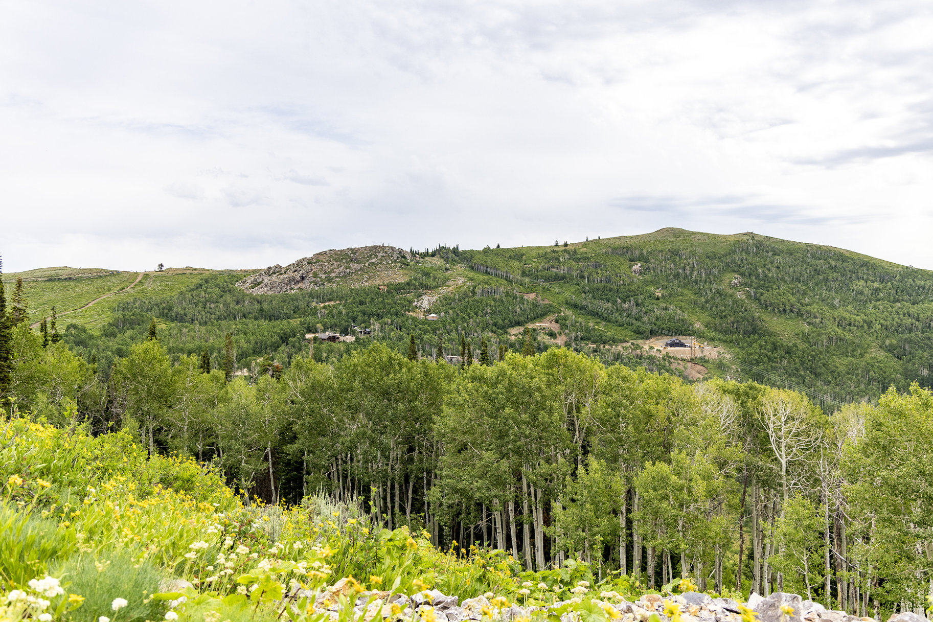  24 Acre Development Parcel in Bonanza Flats - 物件實景