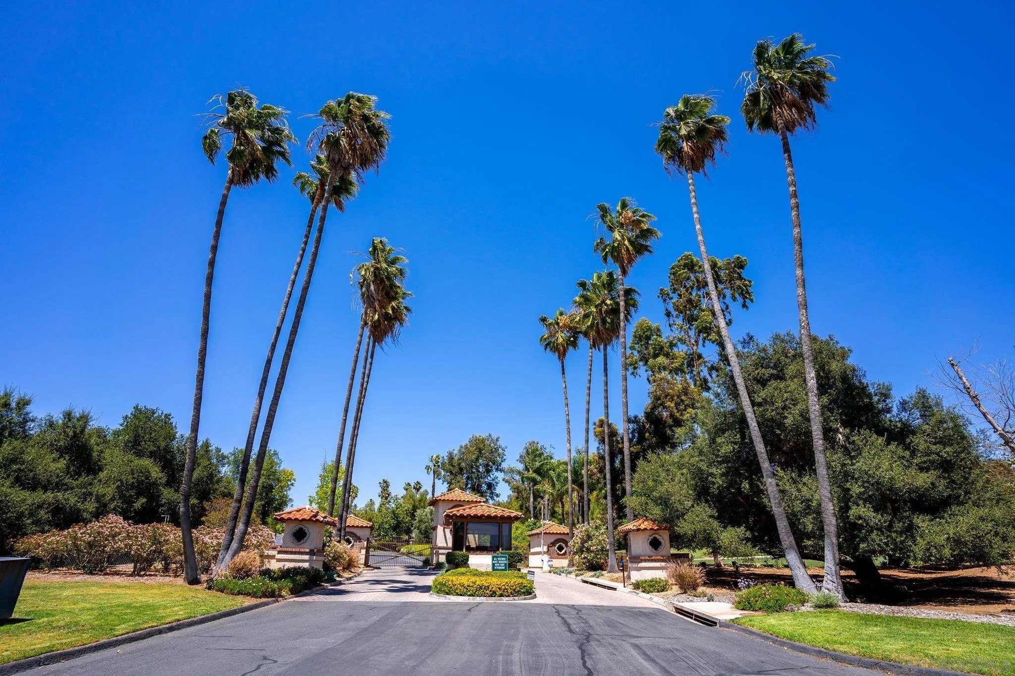 Jamul, California, 91935, United States, ,Land,For Sale,1956444