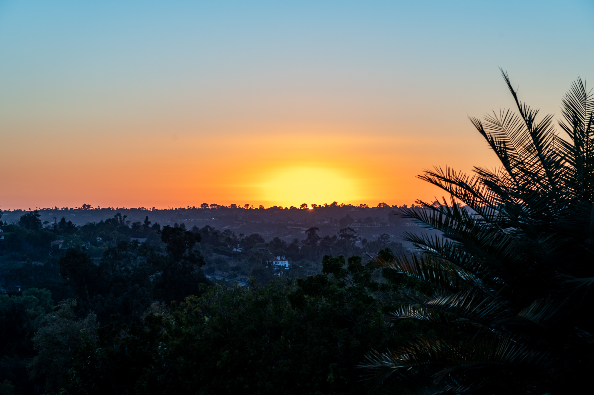  18245 Paseo Victoria, Rancho Santa Fe, CA 92067 - 物件實景