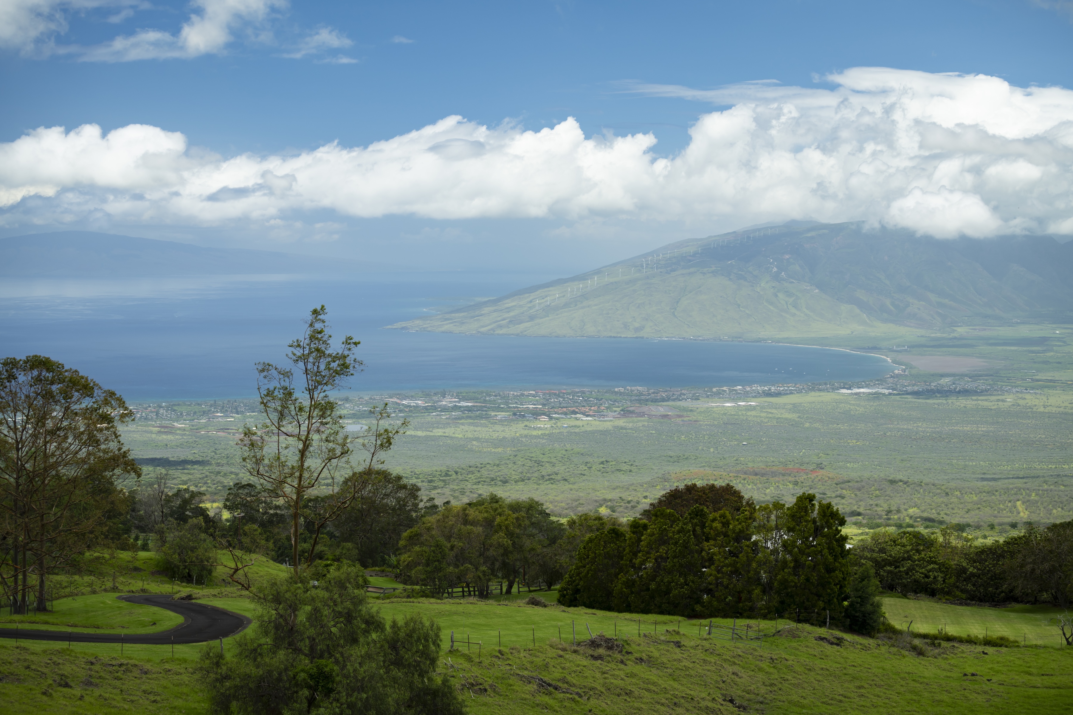  Private Kula estate on expansive acreage with panoramic Maui views - 物件實景