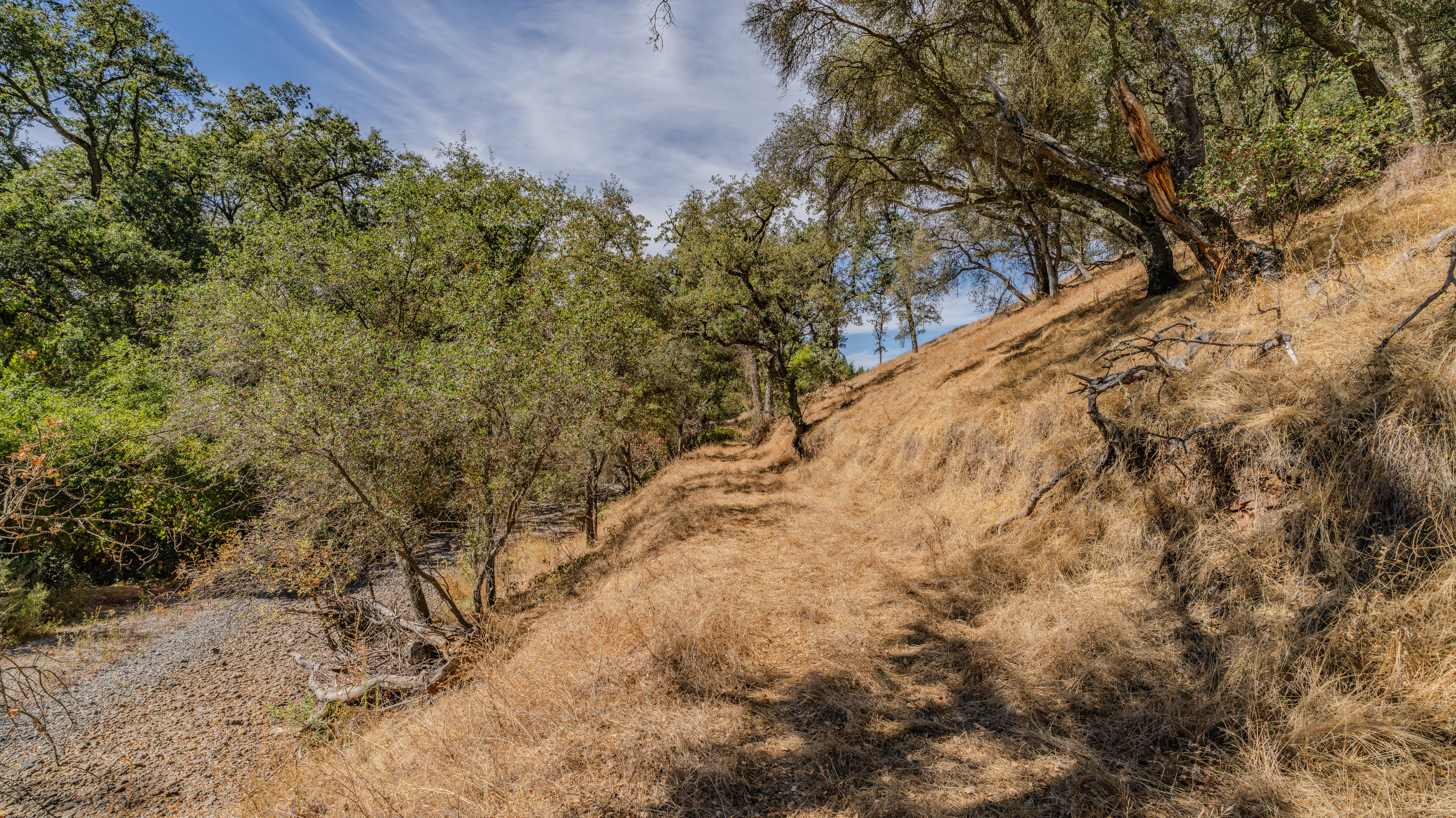  Creek Frontage - Views - Stroll to Downtown Sutter Creek - 物件實景