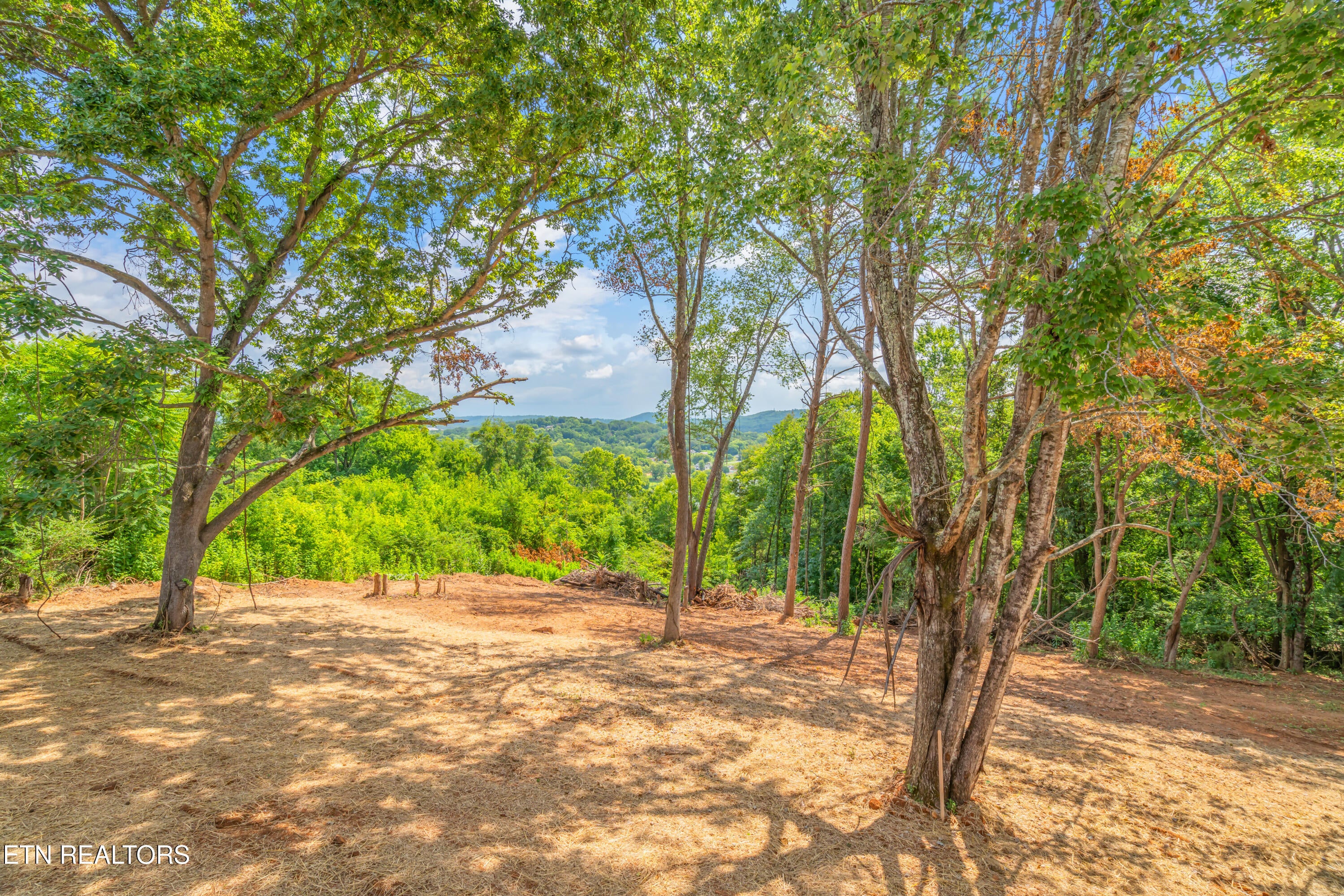 Kingston, Tennessee, 37763, United States, 3 Bedrooms Bedrooms, ,2 BathroomsBathrooms,Residential,For Sale,1907401