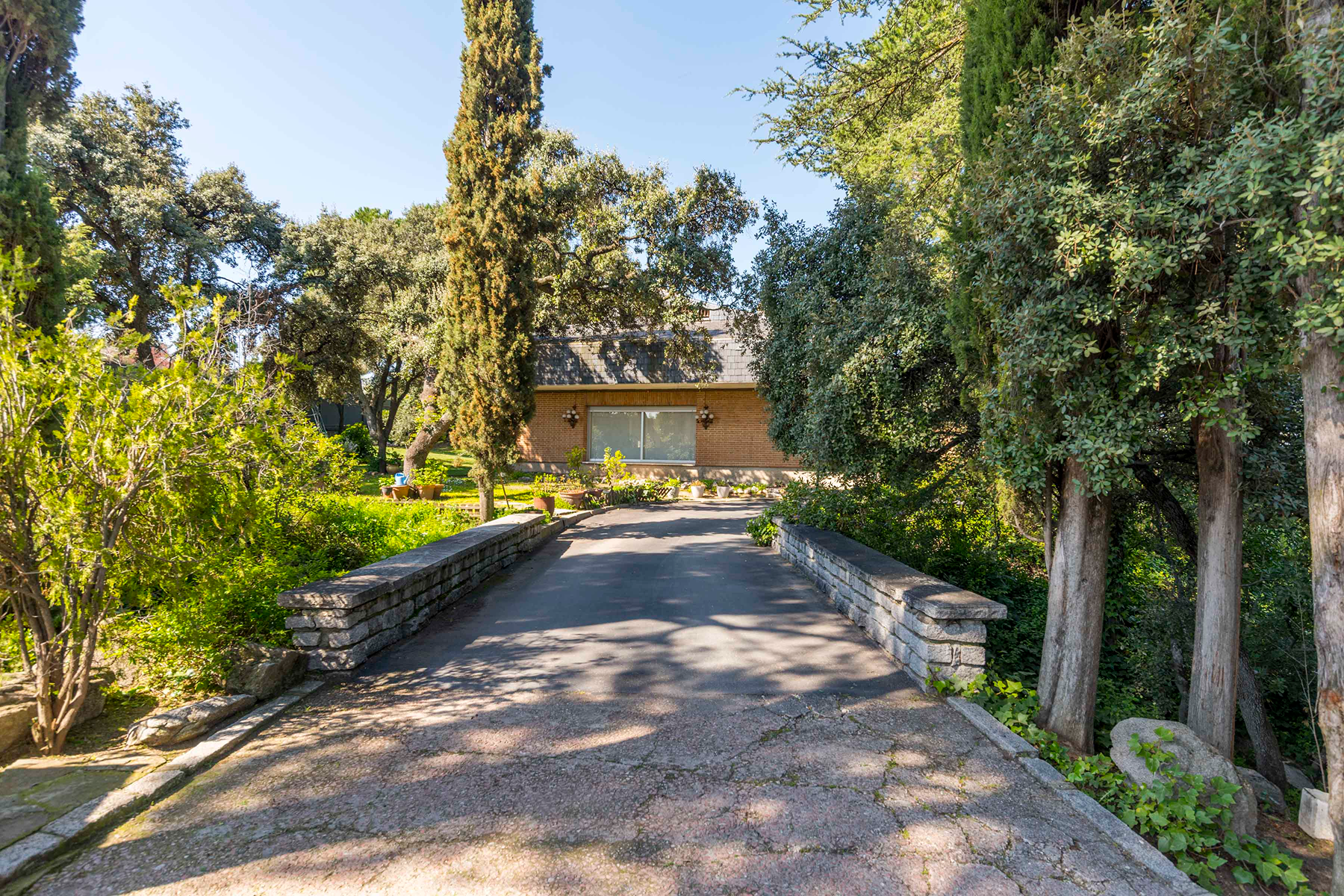  Wonderful hectare plot in La Moraleja - 物件實景