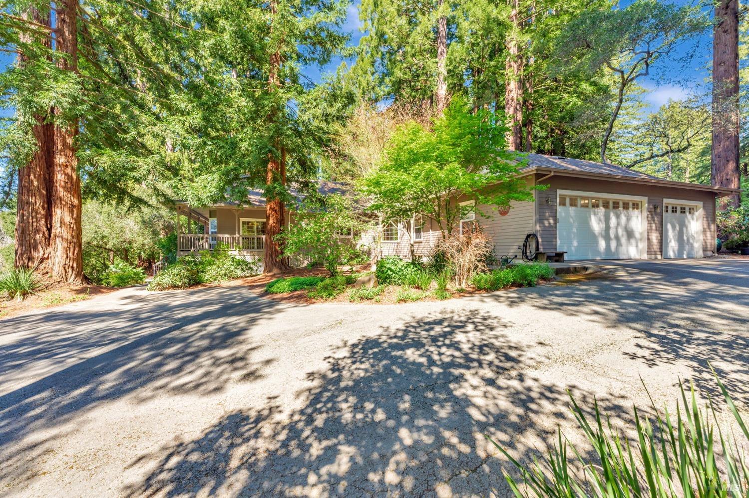 Sebastopol, California, 95472, United States, 4 Bedrooms Bedrooms, ,3 BathroomsBathrooms,Residential,For Sale,1989317