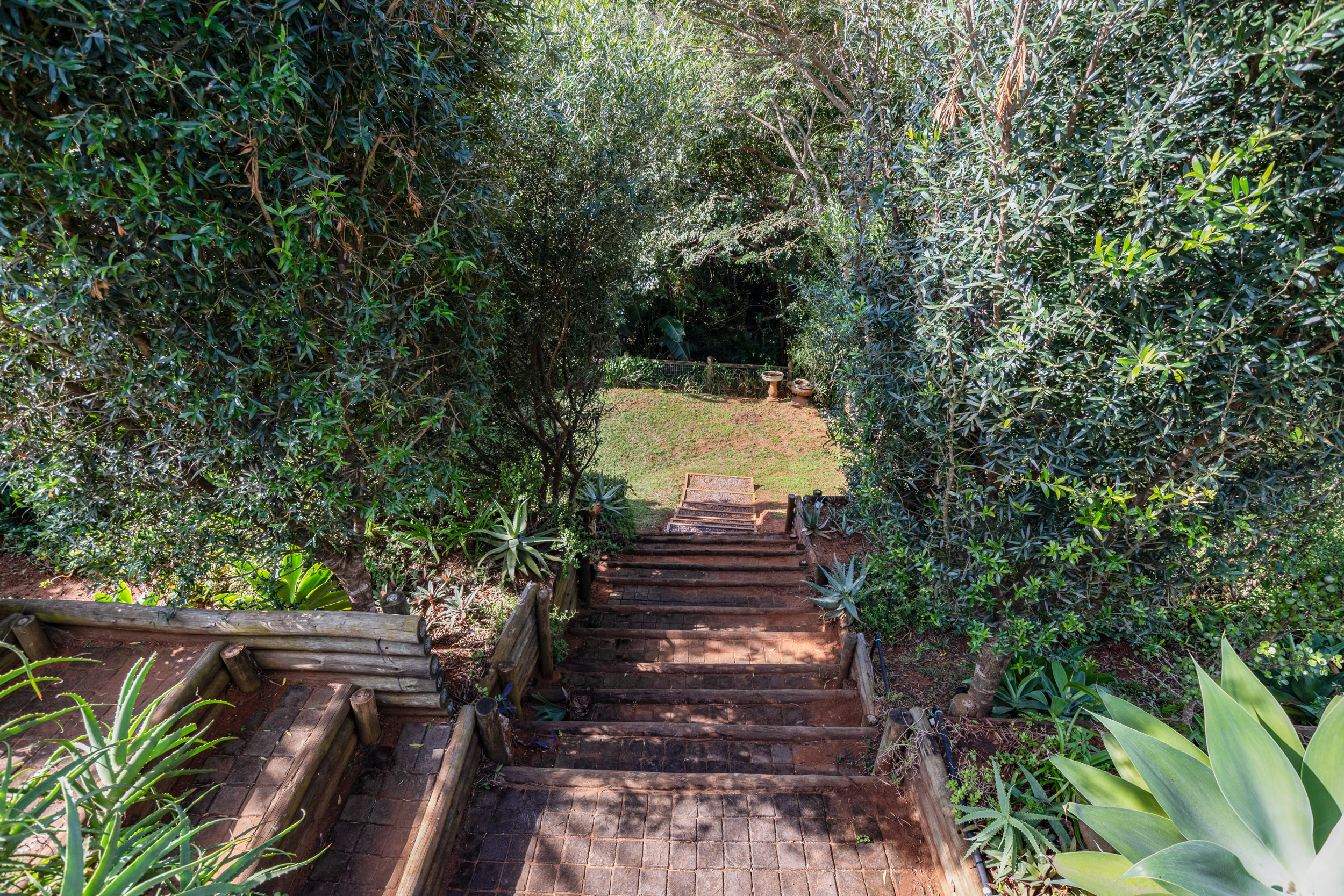  Forest Retreat with Solar Power and Exceptional Outdoor Living in Seaward Estate - 物件實景
