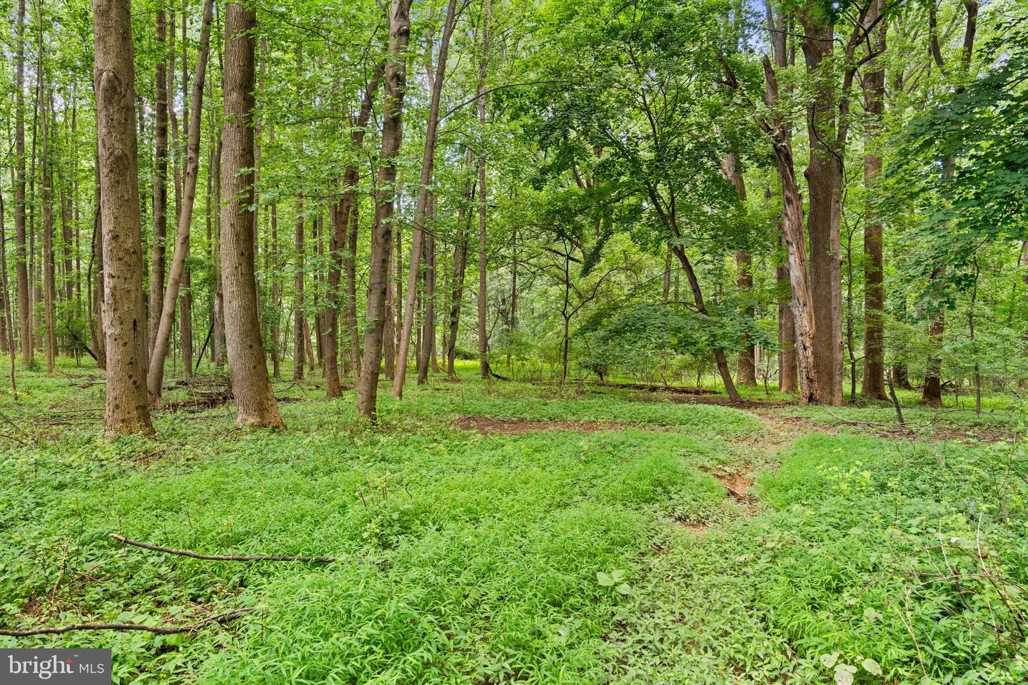 Randallstown, Maryland, 21133, United States, 1 Bedroom Bedrooms, ,1 BathroomBathrooms,Residential,For Sale,1979274