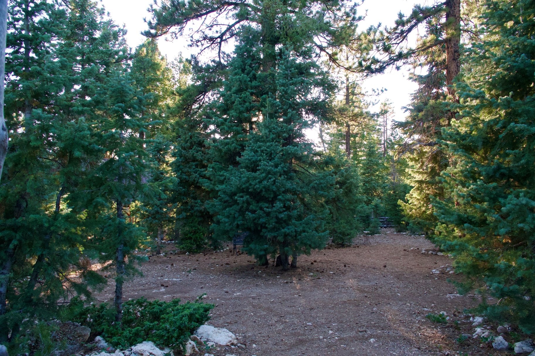  Charming A-Frame Retreat Backing National Forest With Panoramic Views - 物件實景