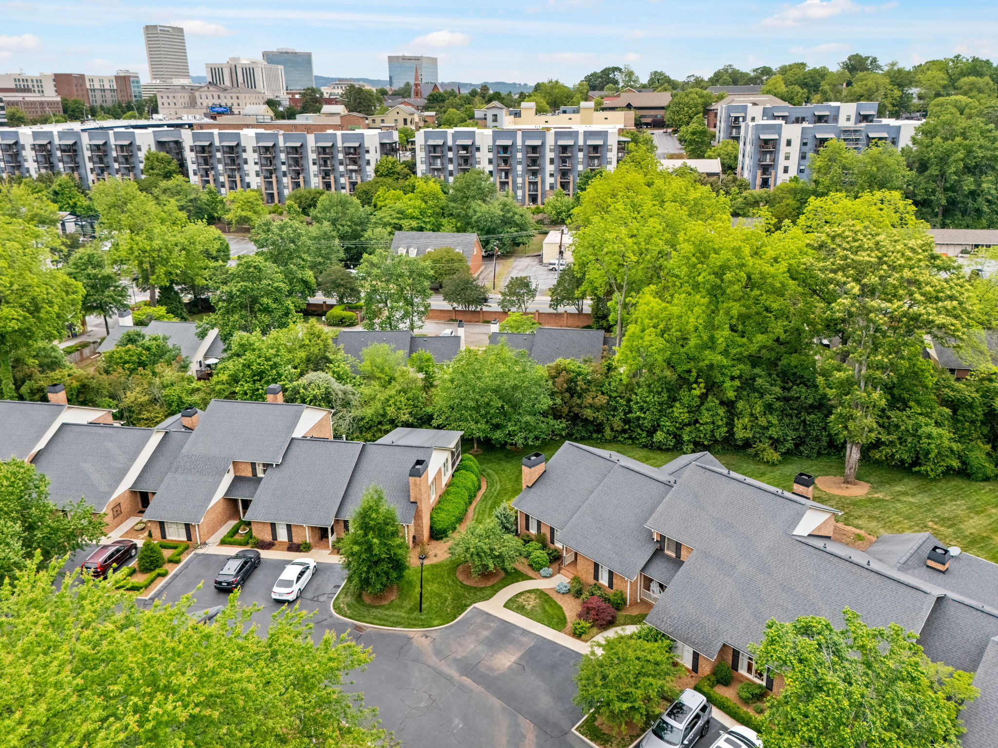  206 McDaniel Greene, Greenville, SC 29601 - 物件實景