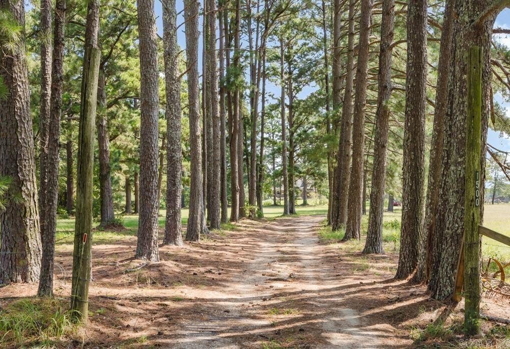 Benton, Arkansas, 72015, United States, 4 Bedrooms Bedrooms, ,3 BathroomsBathrooms,Residential,For Sale,1978701