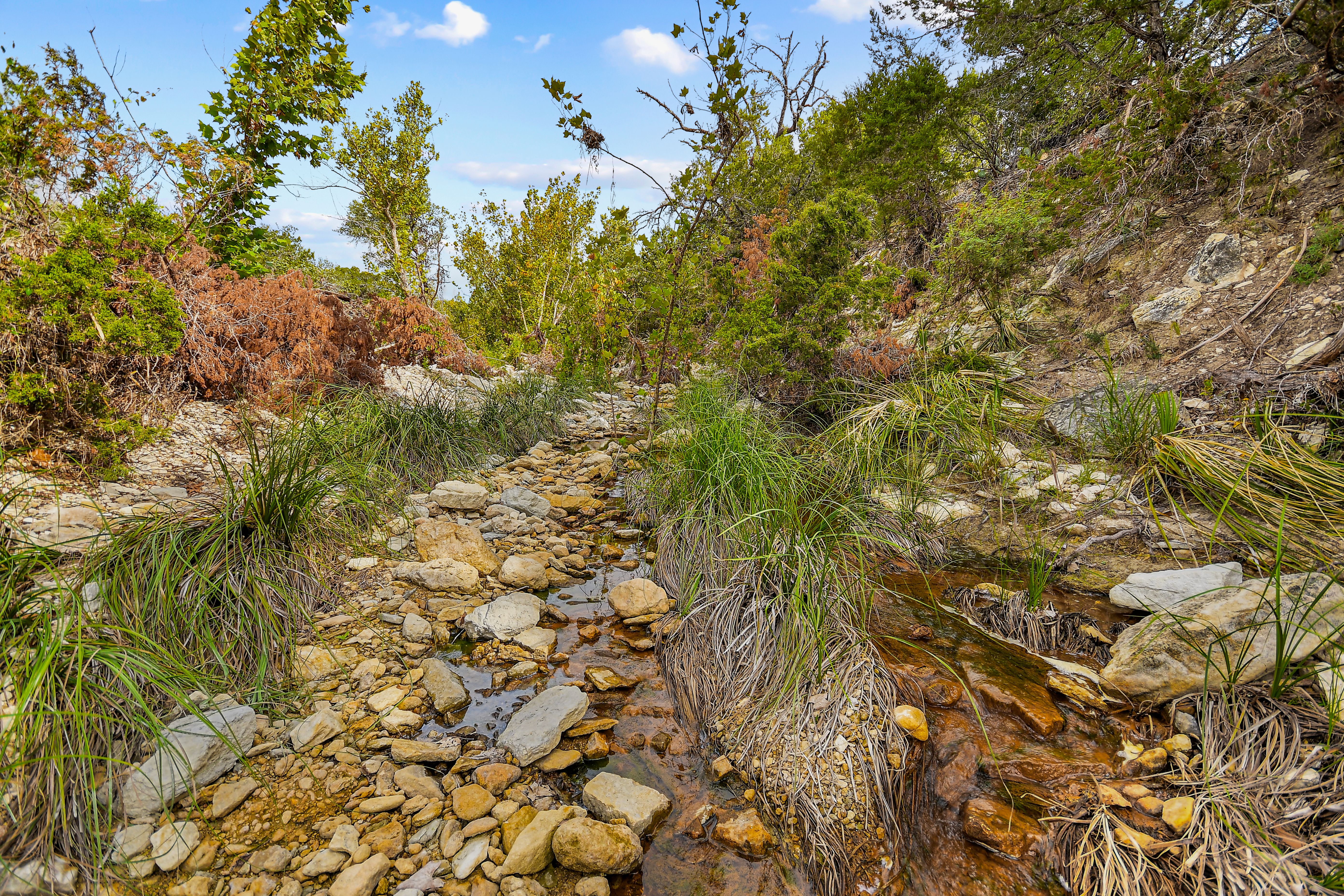  TBD Hwy 46 / Madrona Ranch Road, Pipe Creek, TX 78063 - 物件實景
