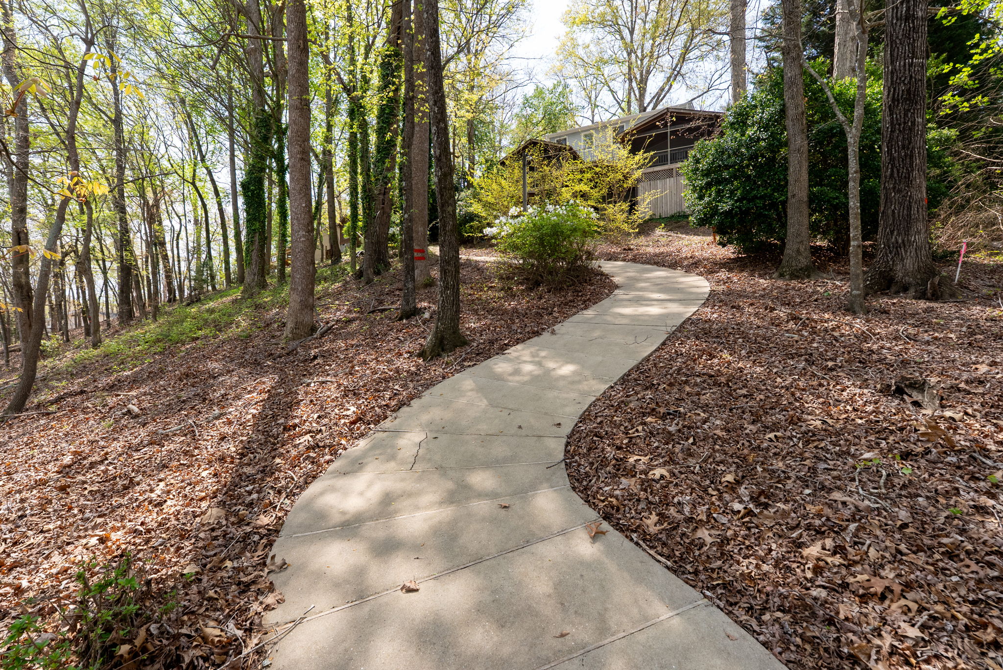  1002 Whitfield Point Road, Anderson, SC 29626 - 物件實景
