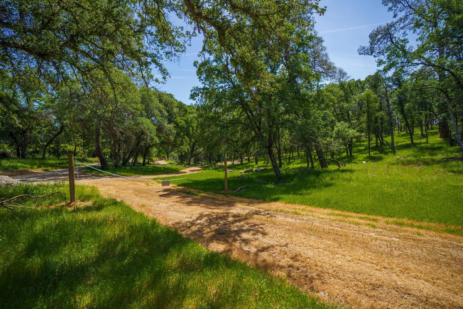 Lincoln, California, 95648, United States, ,Land,For Sale,1784125