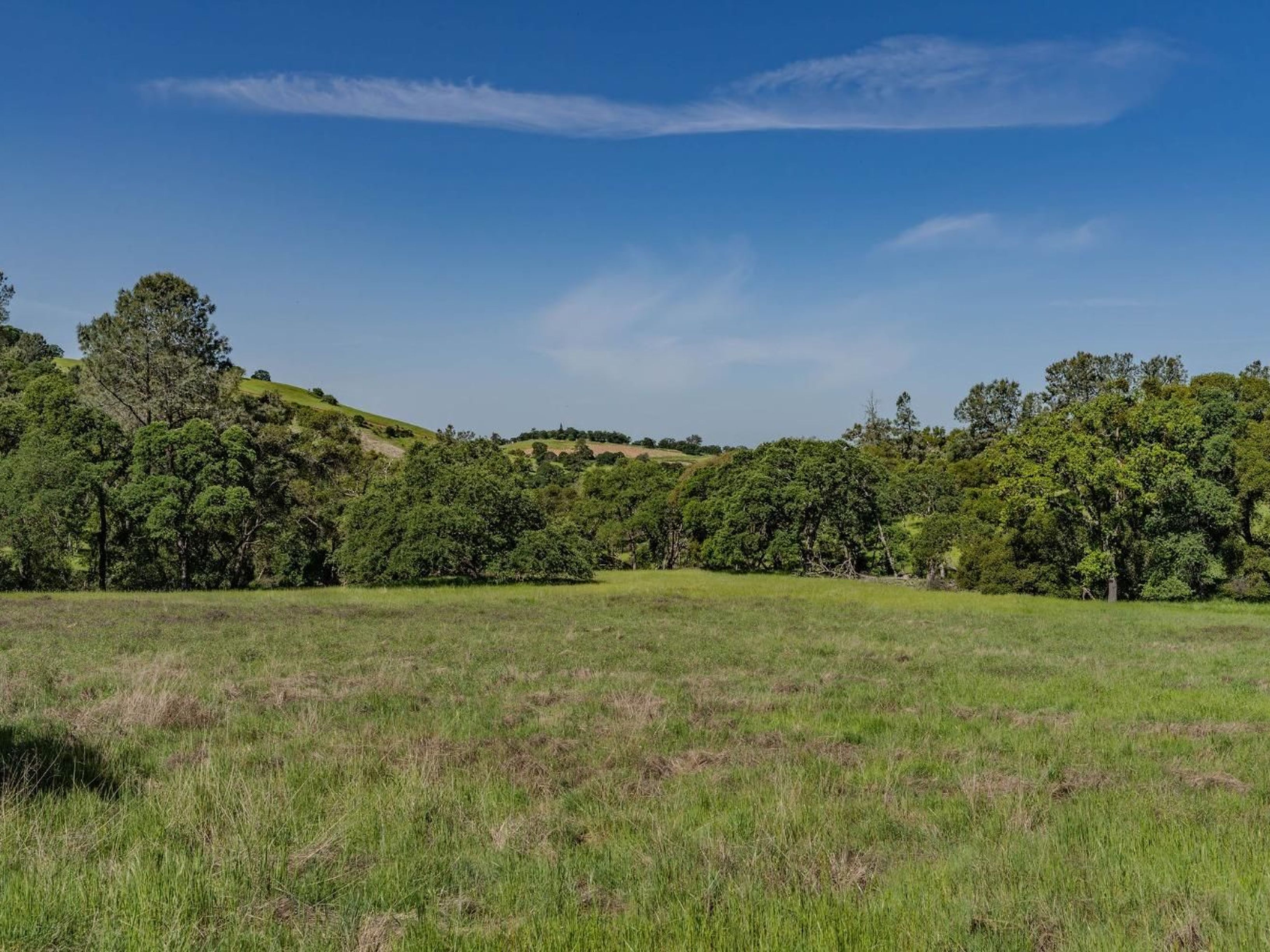  10865 Sunset Drive, Sutter Creek, CA 95685 - 物件實景